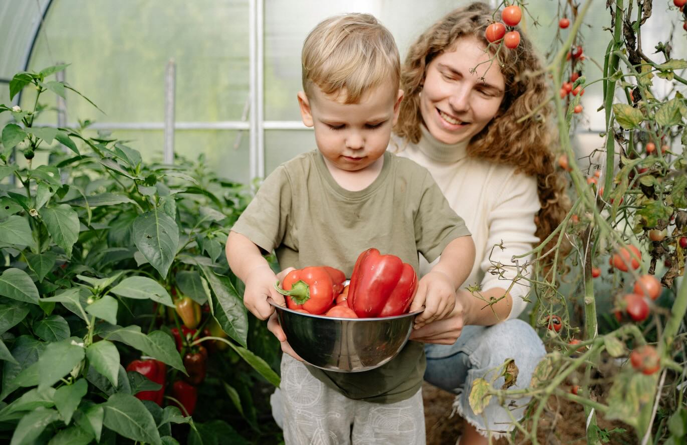 Even in February, your soil is working. 🌱
Now is the perfect time to test your soil so you’re ready for a healthy, productive growing season ahead. ✔️ Spot contamination risks ✔️ Protect your family’s health
Healthy soil = healthy food.
#eatingclean #gardenlife #growyourown