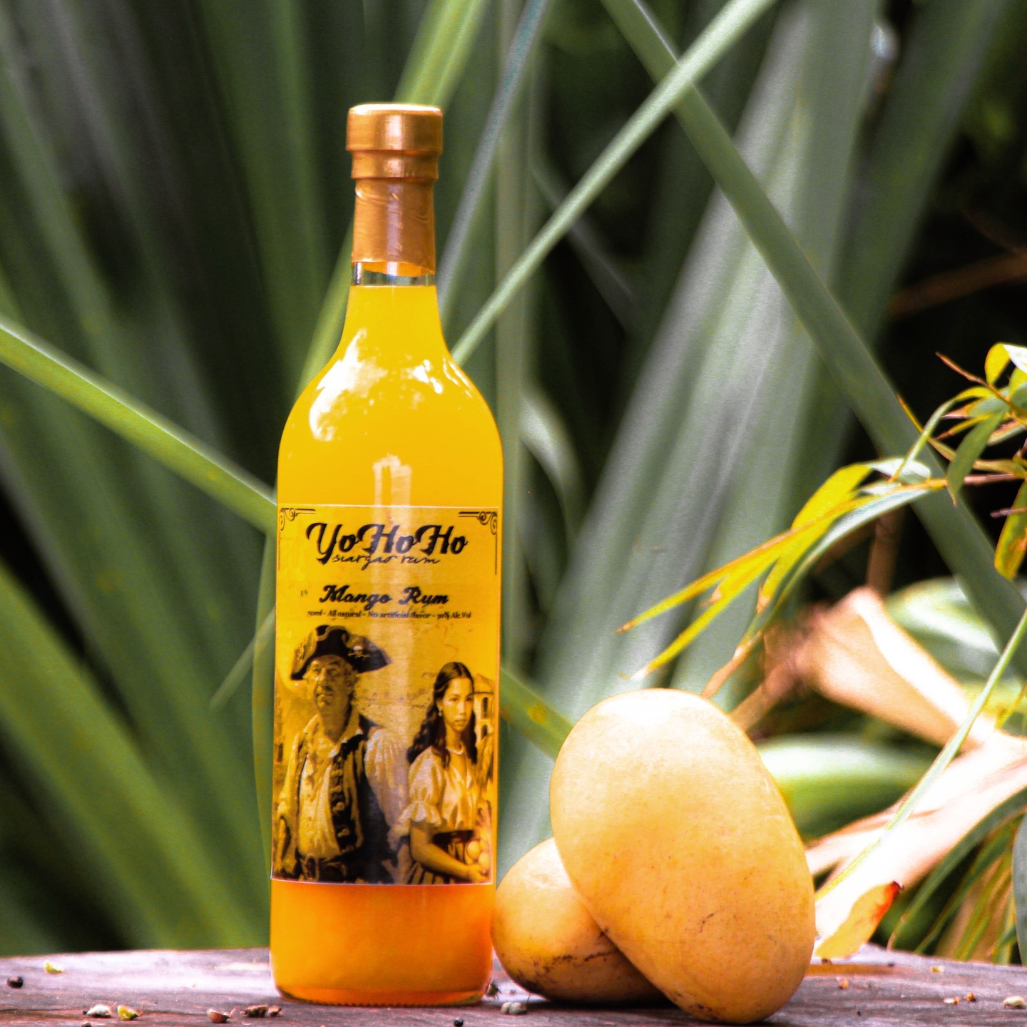Savor the spirit of Siargao with every sip! 🌴🍹 Introducing YoHoHo Mango Rum, where tropical bliss meets the legend of the sea.
Here's to adventures in a bottle – no treasure map needed. 🏴☠️🥭
www.yohohorum.com
#YoHoHoRum #TropicalTales #SiargaoSpirits #MangoRumMagic"