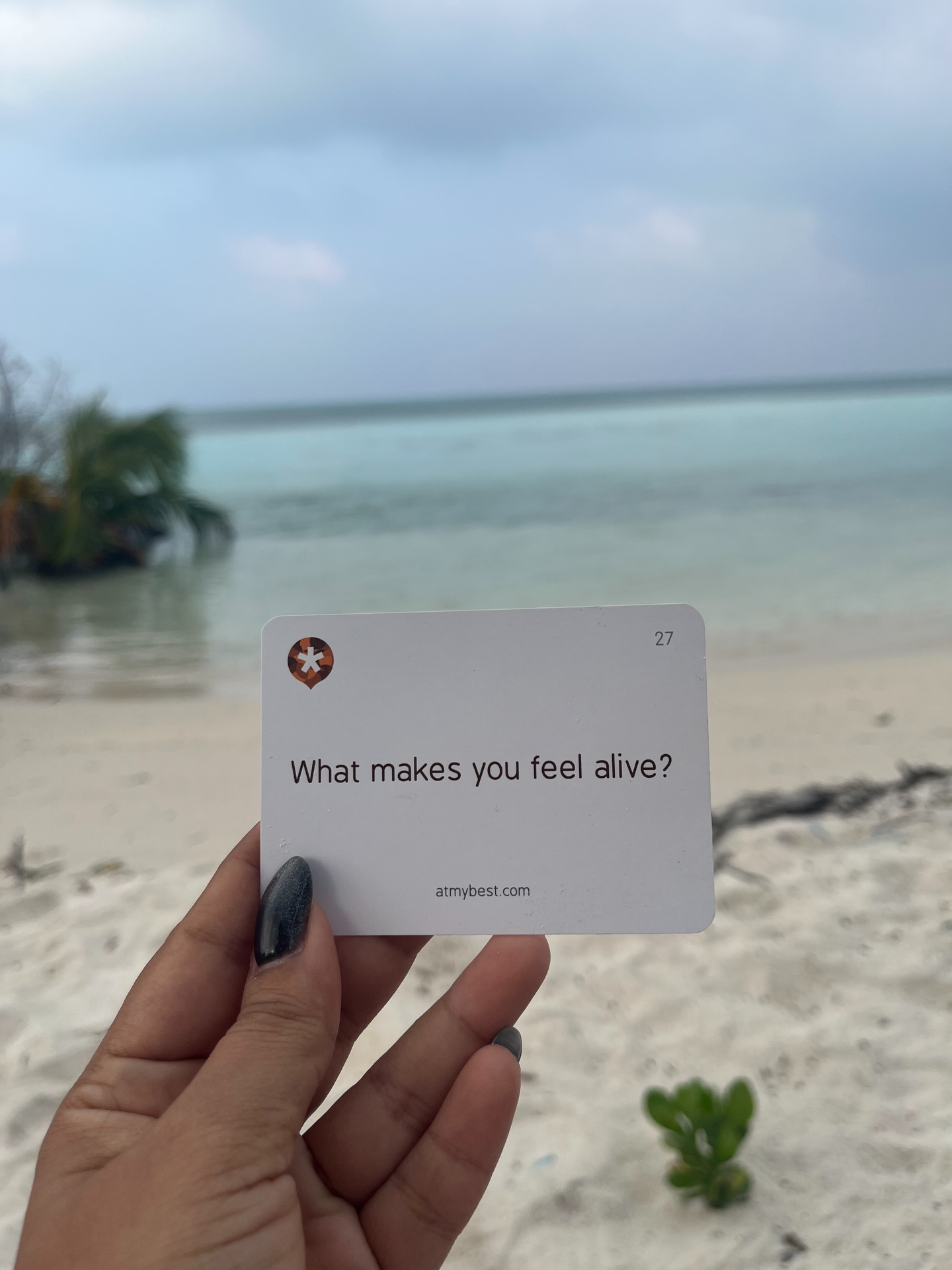 What makes you feel alive?
Lots of love,
Maitreyi 💜✨