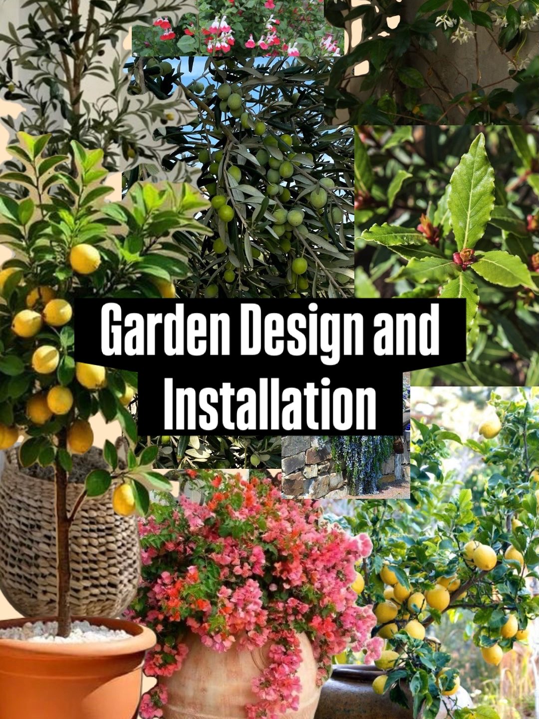 🪴Did you know that we offer garden design, plant selection and installation?🪴
We recently overhauled a clients’ balcony with a selection of edibles, flowers and trees. Following a general brief we came up with a plan, cleared, installed irrigation and planted a beautiful new garden. Scroll to see the transformation ➡️➡️
We can also offer ongoing maintenance for those who lack the time or green thumb 🌿
No garden too small!