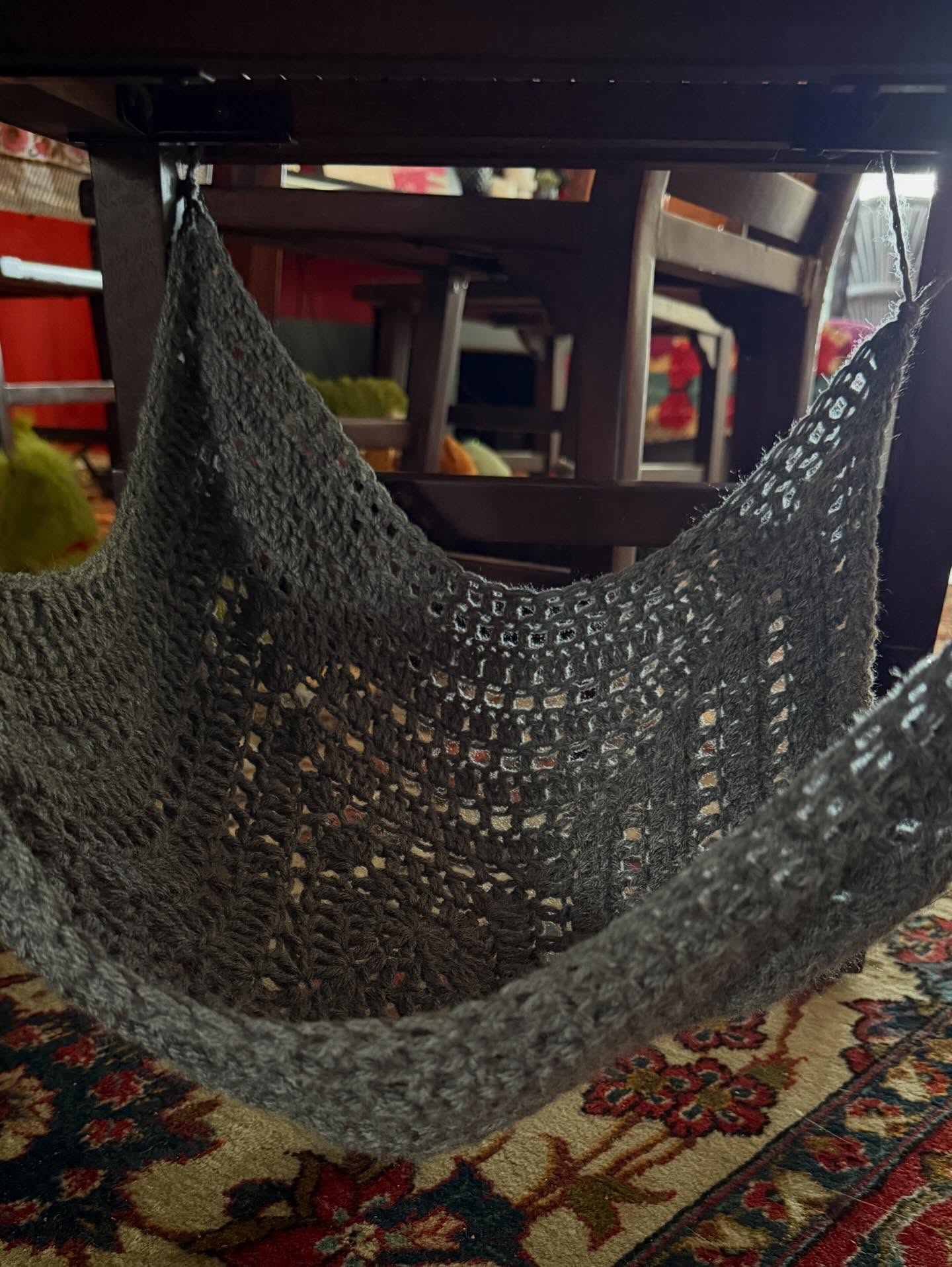 Look I made a cat hammock! Elwood was so good to test it for me! He makes it look so comfy! #dachsundsofinstagram pattern @hearthookhome