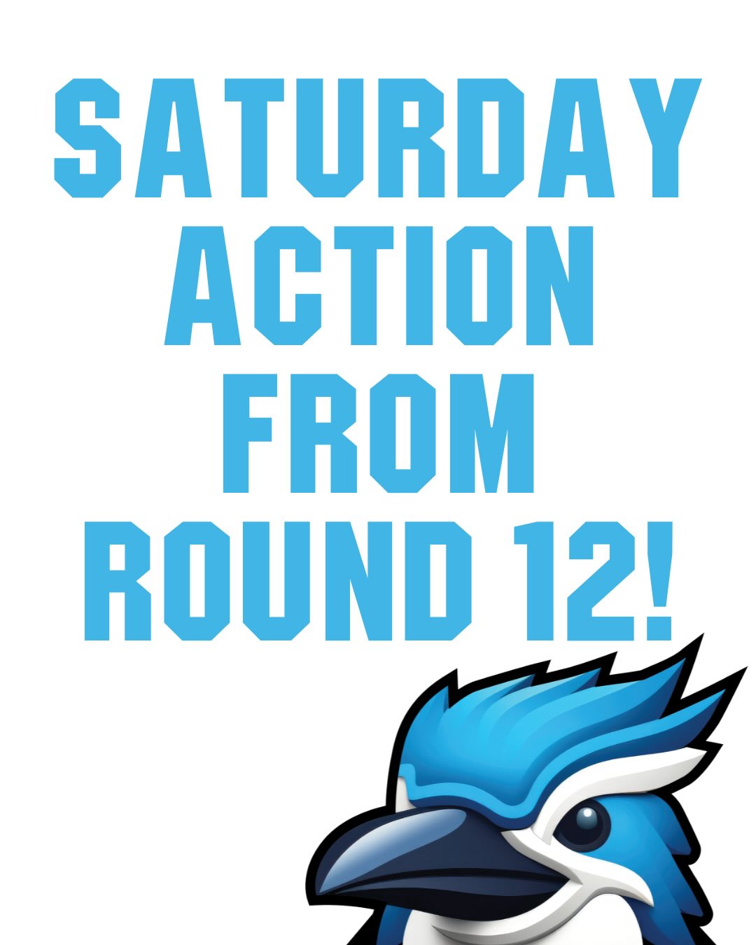 ππ₯ U13 DERBY ACTION - SATURDAY RESULTS ALL HERE! LETS GO KOOKABURRAS! ππ₯
U11 Blue
Performed admirably against a powerhouse Beechboro team. Bowling first the team got wickets from Lucy A (2/27 + 1 catch), Henry (1/7 + 1 catch & runout) & Sarthak (1/26). Everyone in the chase batted well with Sarthak (34), Abigail (17), Luca (15), Lucy (15) & Ella (15) playing some great shots in an entertaining game.
U11 White
Had the home game at Hartfield 3 against Ascot JCC. A great bowling & fielding effort saw the team pick up 15 wickets. Emanuel (3/4 + 1 catch & 2 runouts), Joel (2/13), Josh (2/14), Ethan (2/15), Cooper (1/8), Nate (1/10) & Logan (1/19) with Caleb taking a great catch. Amassed a score of 174 to take the win with Ethan (25), Josh (23) and Joel (19) leading the way. Well done team!
U13 Derby
An earlier start for the derby as the two teams then enjoyed a picnic and some shared fun after the game. White batted first and posted a decent score of 97 against some quality Blue bowling and fielding. White was led by Raghnall (14) & Josephine (12). Blueβs bowling was strong from Taite (3/6) & Yeshwanth (2/17) as the multiple wicket takers. In response Blue posted 4/193 with Isa (36no), Travis (20) & Jacob (19no) batting well. White had wickets from Henry (1/5), Harrison (1/11) & Noah (1/15). Great to see the teams play in great spirits!
U14 Blue
Batting first the team was led well by captain Patrick T (25no) & Hudson (15) but were bowled out for 97. The team tried hard in the field with Quade A (2/29), Ashvanth (1/15) & Reece (1/26) taking wickets. Cieran with a catch and a stumping did a great job keeping.
U14 White
Gave the ladder leaders Willetton Blue a real fight in a quality effort. Posted 8/125 with Dan C (40no) leading the way with support from Caleb (13), Leo (11) & Blaine (11). Put the opposition under pressure with Dylan (2/7), Caleb (2/11) & Cal (2/15) getting multiple wickets. Amazing catch from James Y - a one handed screamer diving to his left and catching it behind him a season highlight. Great effort guys!