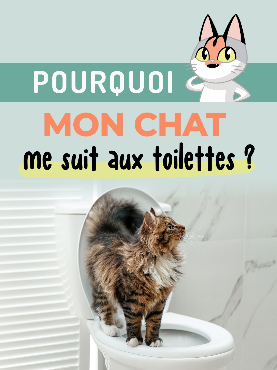 Je reçois plein de MP et de commentaires sur ce grand classique : « Pourquoi mon chat me suit AUX TOILETTES ?! » đ
đŸ
Alors aprĂšs le post dâOpie sur les litiĂšres, je me suis dit quâil Ă©tait temps de rĂ©pondre plus sĂ©rieusement (mais toujours avec humour âșïž) Ă cette question qui en intrigue plus dâun. đ€
Parce que derriĂšre ce petit rituel mignon que beaucoup dâentre nous partagent avec leurs chats (hein Jekyll, Didite et Kato đ), il existe des explications tout Ă fait logiques du point de vue du chat :
- curiositĂ© đ§
- renforcement involontaire â€ïž
- routine synchronisĂ©e â°
- terrain de jeu đ§»
⊠ou parfois un besoin de proximité plus marqué.
âĄïž Tout dĂ©pend du contexte.
JâespĂšre que ce post tâĂ©clairera !
Si tu penses que dâautres personnes autour de toi se posent cette question cruciale đ nâhĂ©site pas Ă partager âïž
Et si certains moments « mignons mais un peu trop insistants » te font te demander sâil y a autre chose derriĂšre, ou si tu veux quâon creuse ensemble un comportement qui tâinquiĂšte, je suis Ă lâĂ©coute pour en parler. đ„°
- - - - - -
đŹ Et chez toi alors, câest quoi les petits rituels WC avec ton chat ? đœđș
#infochat #viedechat #conseilchat