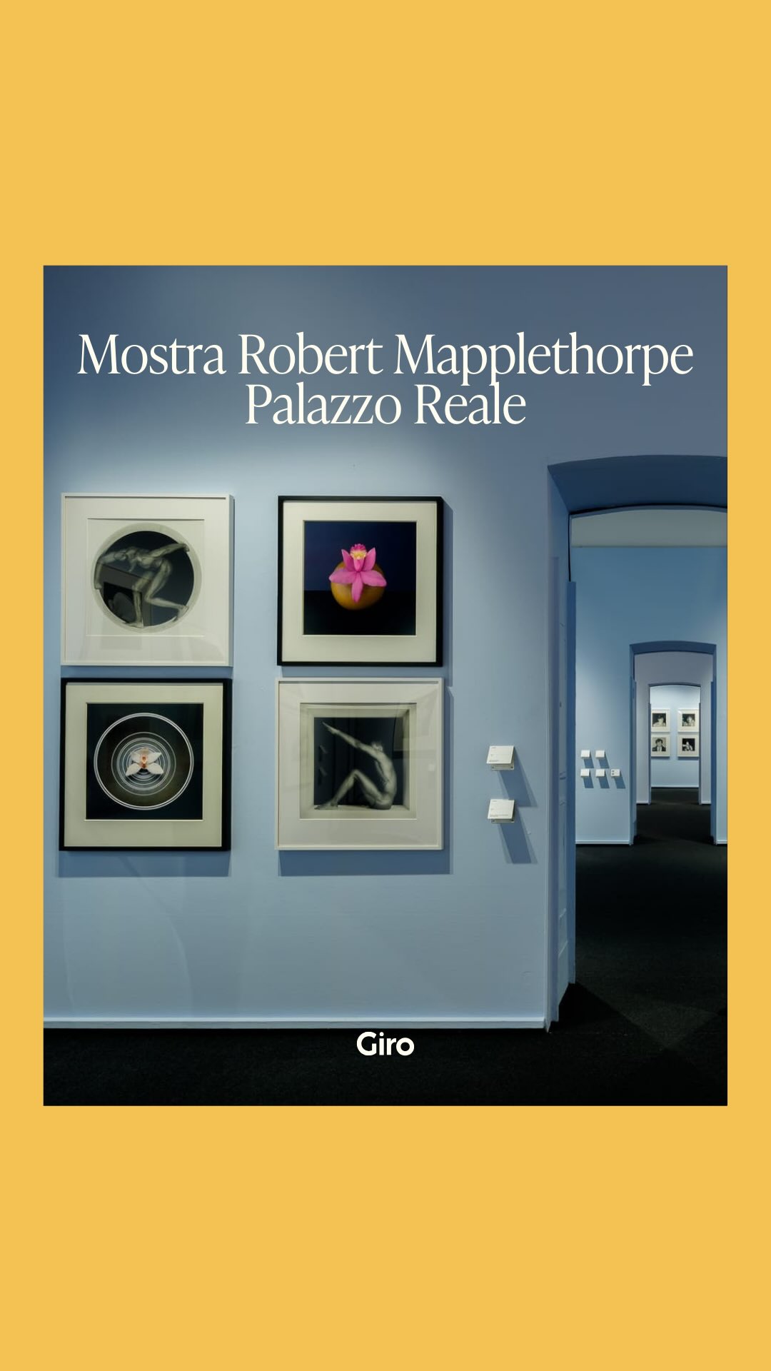 O Robert Mapplethorpe é um dos nomes mais provocativos da fotografia do século XX. Autorretratos, estudos do corpo, erotismo e flores compõem uma obra que equilibra rigor clássico e transgressão.
📸 A mostra Le Forme del Desiderio, no Palazzo Reale di Milano, reúne trabalhos icônicos e revela a potência visual do artista.
Durante o tour guiado, a Giro conduziu a visita com contexto e leitura, transformando a exposição em experiência.
🖼️ Em cartaz até dia 17 de maio 2026.
A Giro te leva para viver a Itália cultural além do óbvio 🧡
#toursinmilan #guidedtour #robertmapplethorpephotography