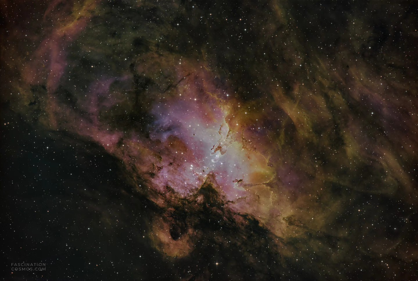 Adlernebel M16
Der bekannte Adlernebel – ein markantes kosmisches Kunstwerk, im (nördlichen) Sommer in der Milch-straße perfekt sichtbar und gerade mal so 7000 Lichtjahre entfernt! Was ist das? Eine riesige Wolke aus Gas und Staub, ja, aber vor allem: eine Sternenfabrik! Im Zentrum dieses Nebels finden wir den Stern-haufen NGC 6611, vollgepackt mit jungen, extrem heißen und massereichen Sternen. Und die machen ordentlich Stimmung: Ihre intensive ultraviolette Strahlung bringt das umgebende Gas zum Leuchten und formt dabei spektakuläre Strukturen: hier entsteht Neues im Kosmos, ein beeindruckender Blick in die Geburtsstuben der Sterne! Die erinnern an einen Adler, daher der Name „Adlernebel“. Diese Struk-turen vom Zentrum haben unter der Bezeichnung „Säulen der Schöpfung“ auch außerhalb der Astro-nomiegemeinde ikonische Aufmerksamkeit erlangt
Die Originalaufnahme habe ich mit 35 Schmalbandaufnahmen mit je 600 Sekunden, sowie mit 52 LRGB Aufnahmen mit je 90 Sekunden, in Summe also in weniger als 5 Stunden Aufnahmezeit belichtet. Aufnahme in meiner Gartensternwarte mit meinem (seit April 2025 neuem) Lacerta 12", 1200mm mit f/4, einer QHY268M Monokamera mit Filterrad mit 7 Filtern, einer QHY OAG-Nachführung mit einer ASI-174MM-Mono-Nachführkamera und mit einem SestoSenso2-Fokusser, alle auf einer Celestron CGX montiert. Mit Astro Pixel Prozessor, Pixinsight, Adobe PhotoShop verarbeitet.
Bitte sehr gerne meine Post weiterleiten ! Jedwede andere Art von Kopien oder Nutzung ist nur mit ausdrücklicher Erlaubnis des Copyright Inhabers erlaubt. Bestellung von Kopien und Bildern gerne unter https://photo-portal.shop/profiles/fascinationcosmos.com/#/ oder einfach per Nachricht an mich.
#fascinationcosmos #cosmos #faszinationkosmos #kosmos #franzrettenbacher #astrophotography #ast-rofotografie #astrophoto #astrofoto #deepsky #astronomie #astronomy #astro #teleskop #amateurastrophotography #qhy268m #CelestronCGX #deepspace #M16 #Adlernebel