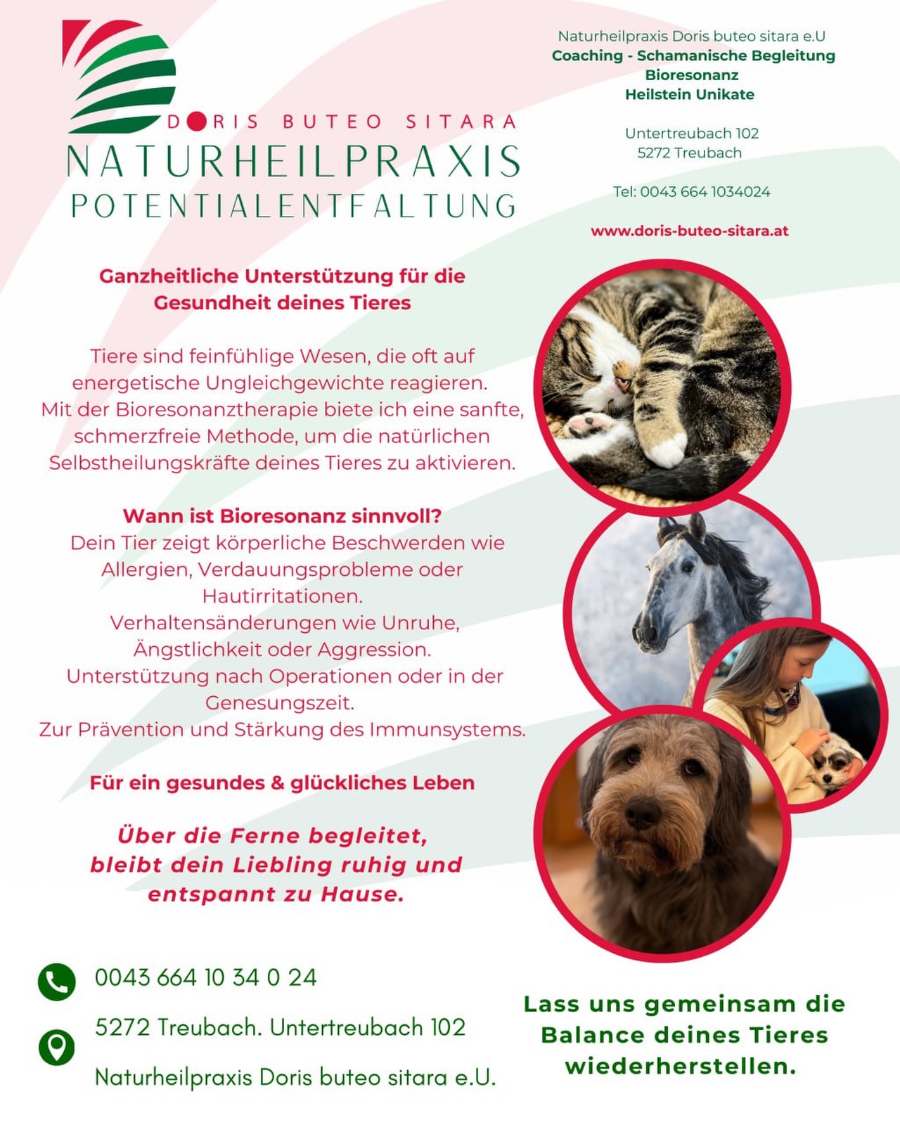 Manchmal sagen unsere Tiere nichts –
und trotzdem erzählen sie uns alles. 🐾
Wenn dein Hund plötzlich unruhig ist.
Wenn deine Katze sich zurückzieht.
Wenn dein Pferd „anders“ wirkt als sonst.
Tiere sind unglaublich feinfühlig.
Sie reagieren auf Stress, Veränderungen, emotionale Spannungen – oft lange bevor wir es bewusst wahrnehmen.
Mit meiner sanften Bioresonanz begleite ich dein Tier ganzheitlich –
bei Allergien, Verdauungsthemen, Hautproblemen, Verhaltensveränderungen oder einfach zur Stärkung des Immunsystems.
✨ Schmerzfrei
✨ Stressfrei
✨ Auch aus der Ferne möglich – dein Liebling bleibt entspannt zu Hause
Es geht nicht nur darum, Symptome zu beruhigen.
Es geht darum, die Balance im System wiederzufinden.
Für mehr Lebensfreude.
Für mehr Leichtigkeit.
Für ein gesundes & glückliches Tierleben.
Wenn du spürst, dass dein Tier Unterstützung braucht –
schreib mir „TIER“ in die Kommentare oder als Nachricht.
Lass uns gemeinsam hinhören. 🐶🐴🐱💚