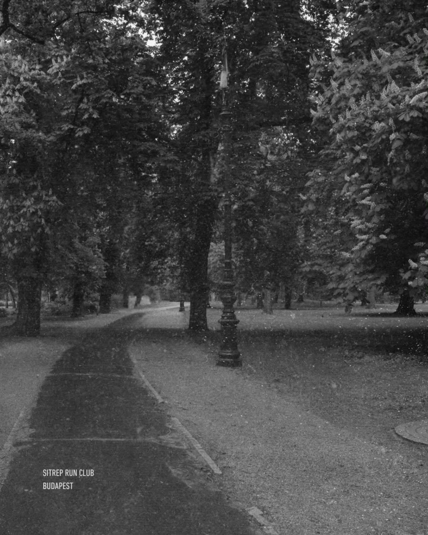 Margit sziget. Budapest.
×
#runclub #blackandwhitephotography #budapestrunning #urbanrunning #discipline