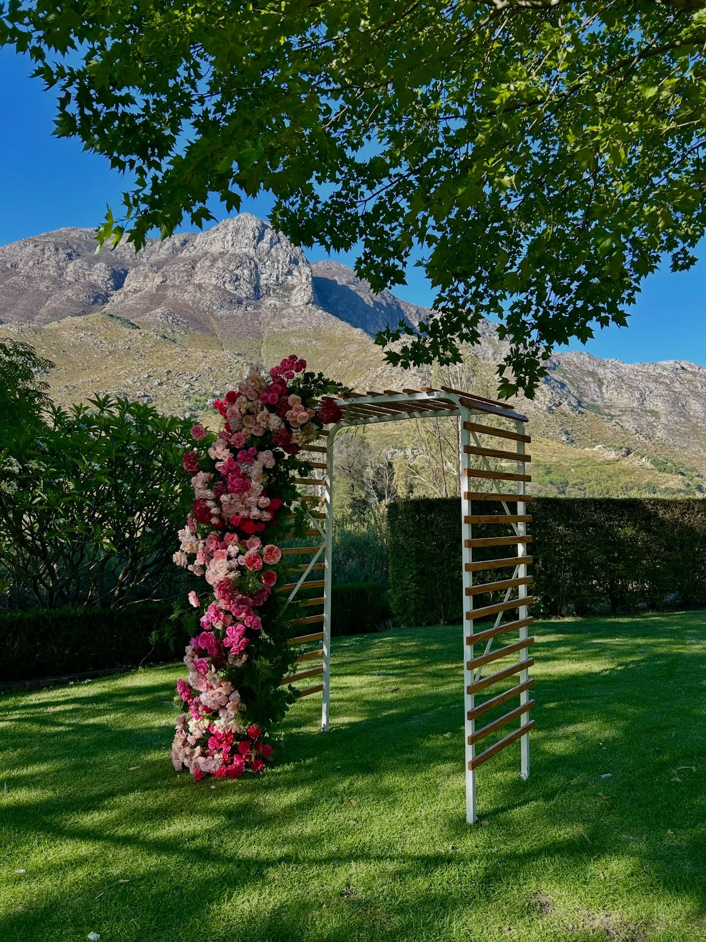 A Valentines Wedding. What a joy to witness and experience 🐦🔥❣️❤️🔥❤️
#oliverock
#passionateweddings
#spanishwedding
@olive_rock_venue
@anlah_floral_artistry
@tulbagh
@onomusicsa
@saweddings
@pinkbooksa_