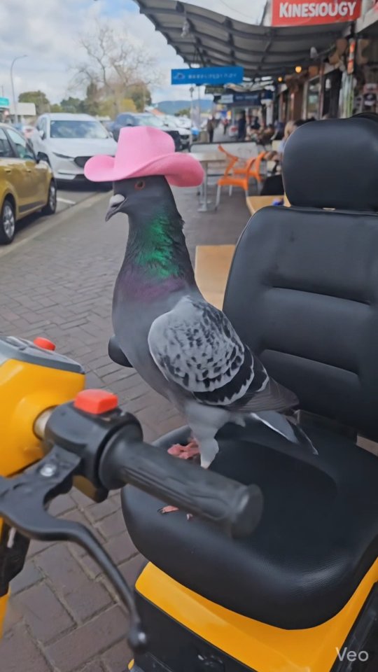 Express Lunches have been 🔥. Get in by any means necessary. Just please drive safely. 11 - 2pm. Wed, Thur & Friday 🐦 #lunch #whiticity