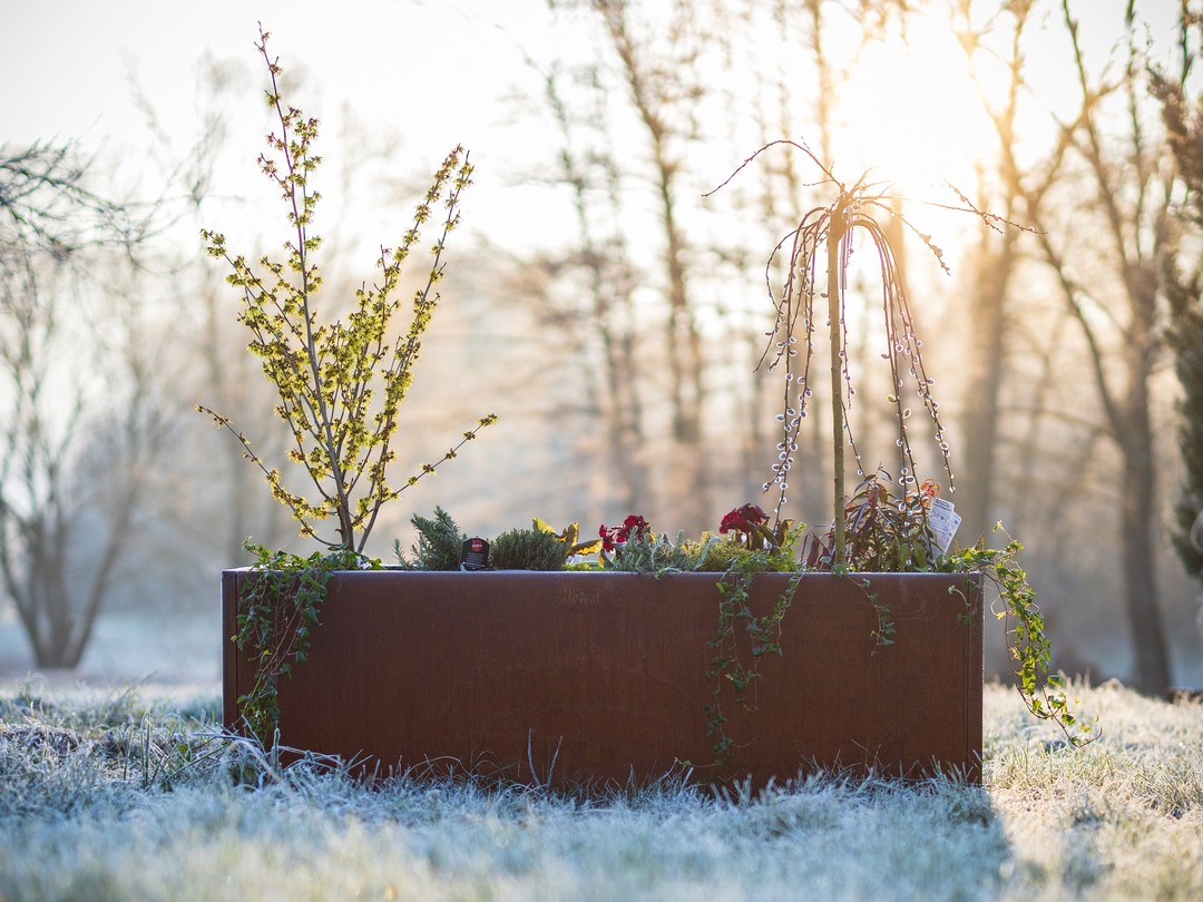 Metal-Outdoor vu Méchela, de Spezialist fir Blummebacken am Corten-Stol. Mir färdegen an eisem Atelier Backen un an de Moossen 50 x 50cm bis 50 x 250cm. Made in Luxembourg.
Info a Bestellung 👉 https://letzshop.lu/bourscheid/products/pflanzengefaess-50-x-50-cm-193d1b