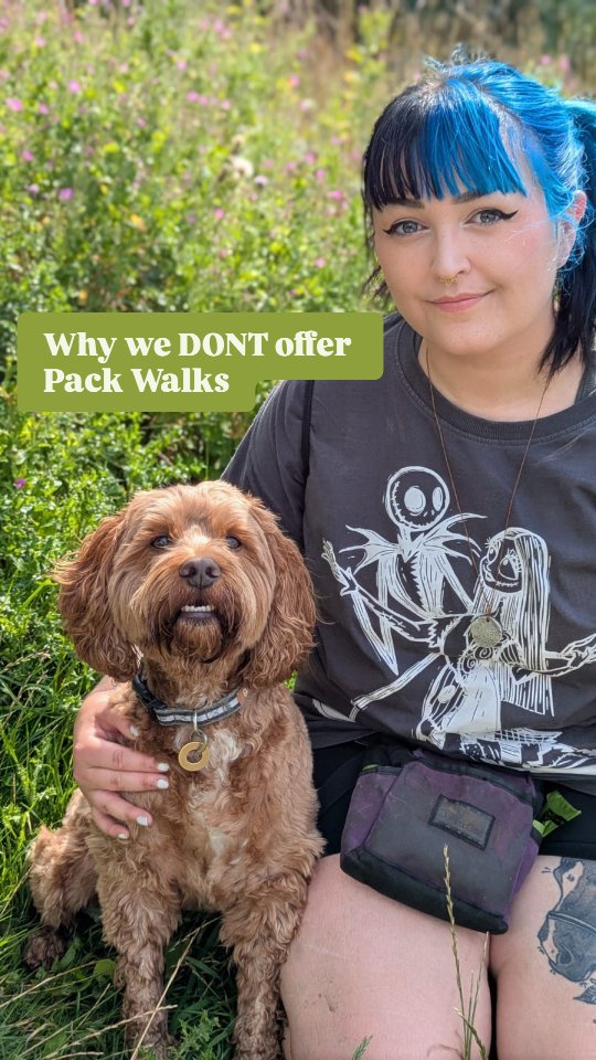 A quick chat about why we DON'T offer regular pack walks 🐕🐾
.
.
.
#dogsofinstagram #dogwalker #nantwich #professionaldogwalker #voiceover