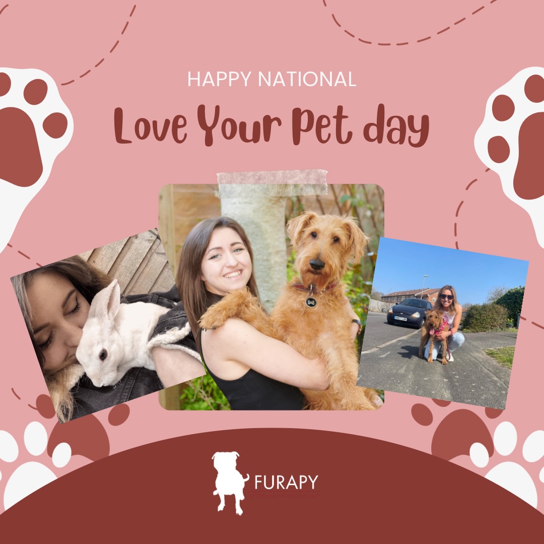 Happy National Love your Pet Day! 🐾
Those of you who know me know of my three!
Bounty 🐇: My senior miniature rex rabbit, absolute sweetheart and calmest of pets!
Rupert 🐕: Often seen showing off his exercise skills in my posts! Gentle soul who has taught me a lot about anxious dogs. Loves a good cuddle
Florrie 🌺: My little whirlwind girl! Little sweetie but full of true terrier spirit. Super playful and sassy.
Introduce me to your lovely pets below! 👇