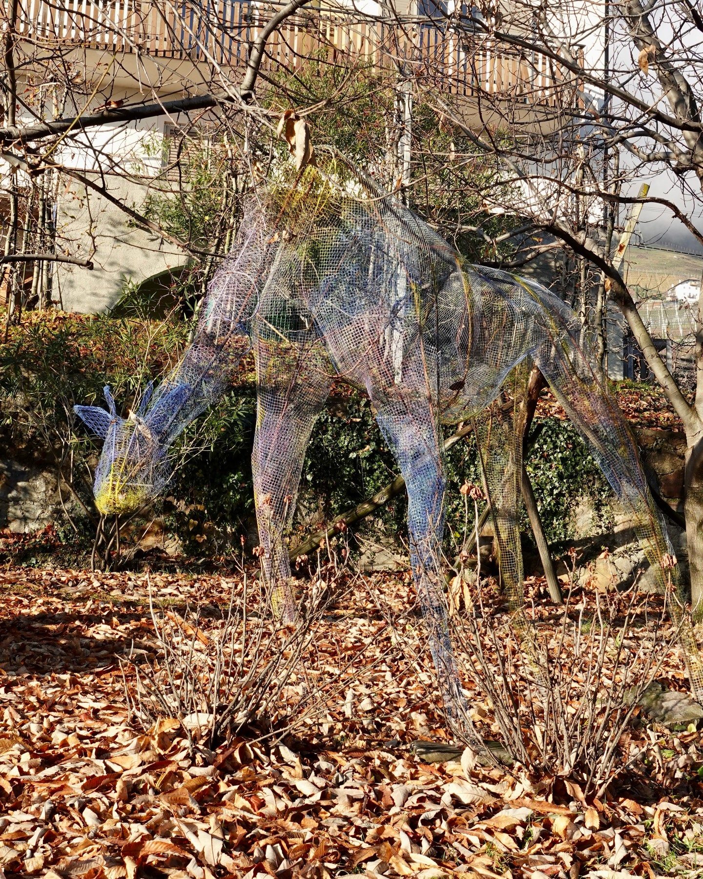 Manchmal versteckt sich Kunst genau dort, wo du sie am wenigsten erwartest… 👀🦒
Mitten im Grünen, zwischen Bäumen und Wegen, taucht sie plötzlich auf – unsere Giraffe.
Still. Wachsam. Fast eins mit der Natur.
🔎 Hast du sie schon entdeckt?
Komm vorbei, geh achtsam durch den Garten und halte die Augen offen – hier wartet mehr als nur ein Spaziergang auf dich.
🌿 Kunstgarten Kränzelhof
🕤 Täglich geöffnet: 9:30 – 18:00 Uhr
📍 Tscherms | Südtirol
Bring Zeit mit. Und Neugier. ✨
#Kunstgarten #Kränzelhof #Skulpturengarten #ArtInNature #Südtirol SüdtirolErleben NaturUndKunst Ausflugstipp VisitSouthTyrol Gartenkunst HiddenArt