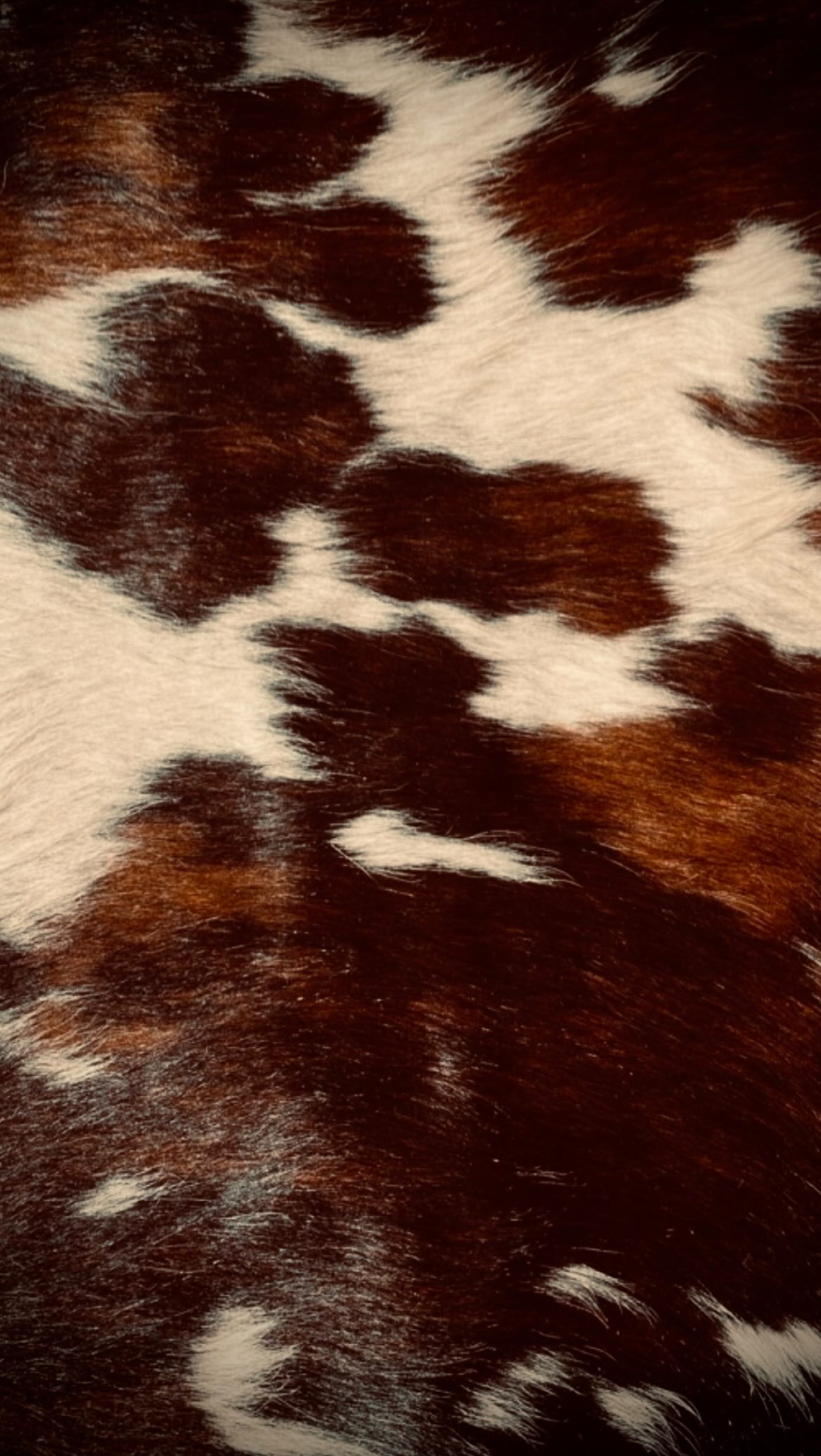 What if you could wear this… without committing to it?
This blonde unit is available for wig rental through Crown Reserve.
Because sometimes you don’t need a long-term relationship with the look… you just need it for the moment.
Date night.
Galentine’s.
Anniversary dinner.
Photoshoot.
A “just because” glow-up.
Luxury doesn’t always have to mean ownership.
Prefer to make it yours?
Custom purchase options are available.
Fernormenal Beauty
Anna, Texas (By Appointment Only)
For women who want options even on Valentine’s.
Happy Valentines Day 💌