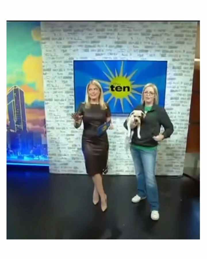 𝐌𝐞𝐞𝐭 𝐁𝐨, 𝐨𝐮𝐫 𝐋𝐞𝐚𝐬𝐡 𝐨𝐧 𝐋𝐢𝐟𝐞 𝐏𝐞𝐭 𝐨𝐟 𝐭𝐡𝐞 𝐖𝐞𝐞𝐤, who made a special appearance at @fox4news ‘𝐓𝐡𝐞 𝐓𝐞𝐧’ this morning. 𝐁𝐮𝐭 𝐰𝐡𝐚𝐭 𝐡𝐞 𝐫𝐞𝐚𝐥𝐥𝐲 𝐰𝐚𝐧𝐭𝐬 𝐢𝐬𝐧’𝐭 𝐟𝐚𝐦𝐞 (after all, he’s got a bad haircut due to severe matting)… 𝐢𝐭’𝐬 𝐚 𝐟𝐨𝐫𝐞𝐯𝐞𝐫 𝐥𝐚𝐩 because he’s a stage 5 clinger! And we aren’t kidding.
𝐀𝐭 𝟖 𝐲𝐞𝐚𝐫𝐬 𝐨𝐥𝐝, 𝐁𝐨 𝐢𝐬 𝐩𝐫𝐨𝐨𝐟 𝐭𝐡𝐚𝐭 𝐚𝐠𝐞 𝐢𝐬 𝐣𝐮𝐬𝐭 𝐚 𝐧𝐮𝐦𝐛𝐞𝐫. He’s full of playful energy and will literally jump from the ground into your arms (what senior does this???), but when the zoomies are over, he’ll happily climb into your lap — without an invitation!
Bo does well with cats and other dogs, though he can be a little cautious around bigger pups due to previously being attacked by a larger dog. His affectionate, people-oriented personality makes him perfect for a quieter home where he can soak up all the love he deserves.
𝐒𝐞𝐧𝐢𝐨𝐫 𝐝𝐨𝐠𝐬 𝐥𝐢𝐤𝐞 𝐁𝐨 𝐨𝐟𝐭𝐞𝐧 𝐠𝐞𝐭 𝐨𝐯𝐞𝐫𝐥𝐨𝐨𝐤𝐞𝐝, 𝐛𝐮𝐭 𝐭𝐡𝐞𝐲 𝐡𝐚𝐯𝐞 𝐬𝐨 𝐦𝐮𝐜𝐡 𝐭𝐨 𝐨𝐟𝐟𝐞𝐫: they’re past the puppy chaos, settle easily into routines, and form strong, loyal bonds. 𝐁𝐨 𝐡𝐚𝐬 𝐚 𝐥𝐢𝐟𝐞𝐭𝐢𝐦𝐞 𝐨𝐟 𝐥𝐨𝐯𝐞 𝐭𝐨 𝐠𝐢𝐯𝐞 𝐚𝐧𝐝 𝐢𝐬 𝐫𝐞𝐚𝐝𝐲 𝐟𝐨𝐫 𝐚 𝐡𝐨𝐦𝐞 where closeness isn’t just nice, it’s a way of life.
🐶💛 𝐘𝐨𝐮 𝐜𝐚𝐧 𝐦𝐞𝐞𝐭 𝐁𝐨 𝐚𝐭 𝐨𝐮𝐫 𝐊𝐞𝐥𝐥𝐞𝐫 𝐑𝐞𝐠𝐢𝐨𝐧𝐚𝐥 𝐀𝐝𝐨𝐩𝐭𝐢𝐨𝐧 𝐂𝐞𝐧𝐭𝐞𝐫 𝐭𝐨𝐝𝐚𝐲!
To learn more visit https://www.hsnt.org/
#adoptseniordogs #hsnt #adoptdontshop❤️ #dfwdogs #fox4news @paigeellenberger