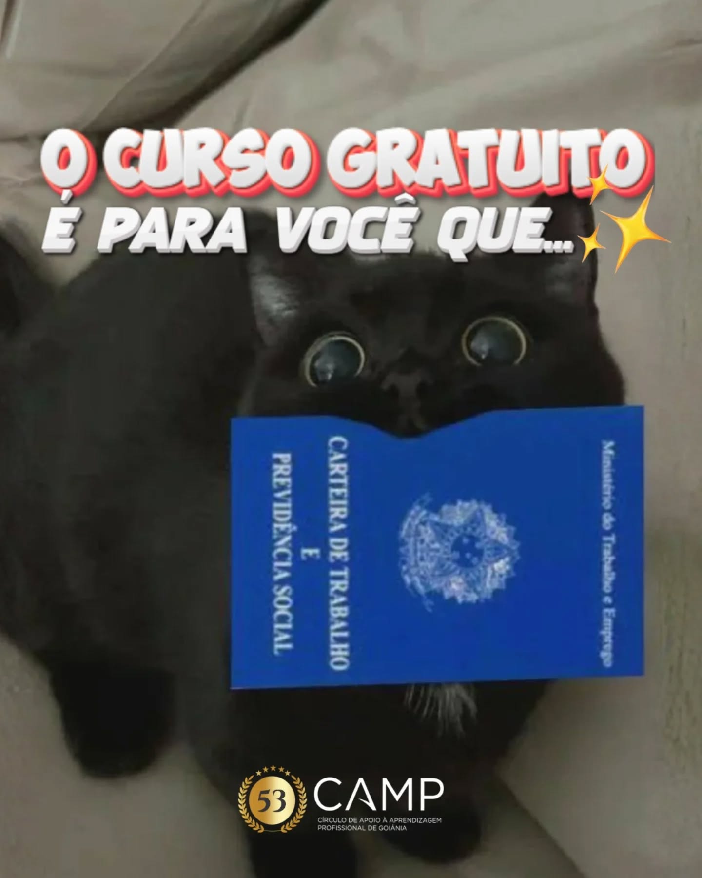 Corre que o link tá na bio! 😎☝️
O curso te ajuda com a Inserção no Mundo do Trabalho, te auxiliando com informações importantes pra evitar que você caia em uma cilada no futuro 🥲
Lembrando que é TOTALMENTE GRATUITO!