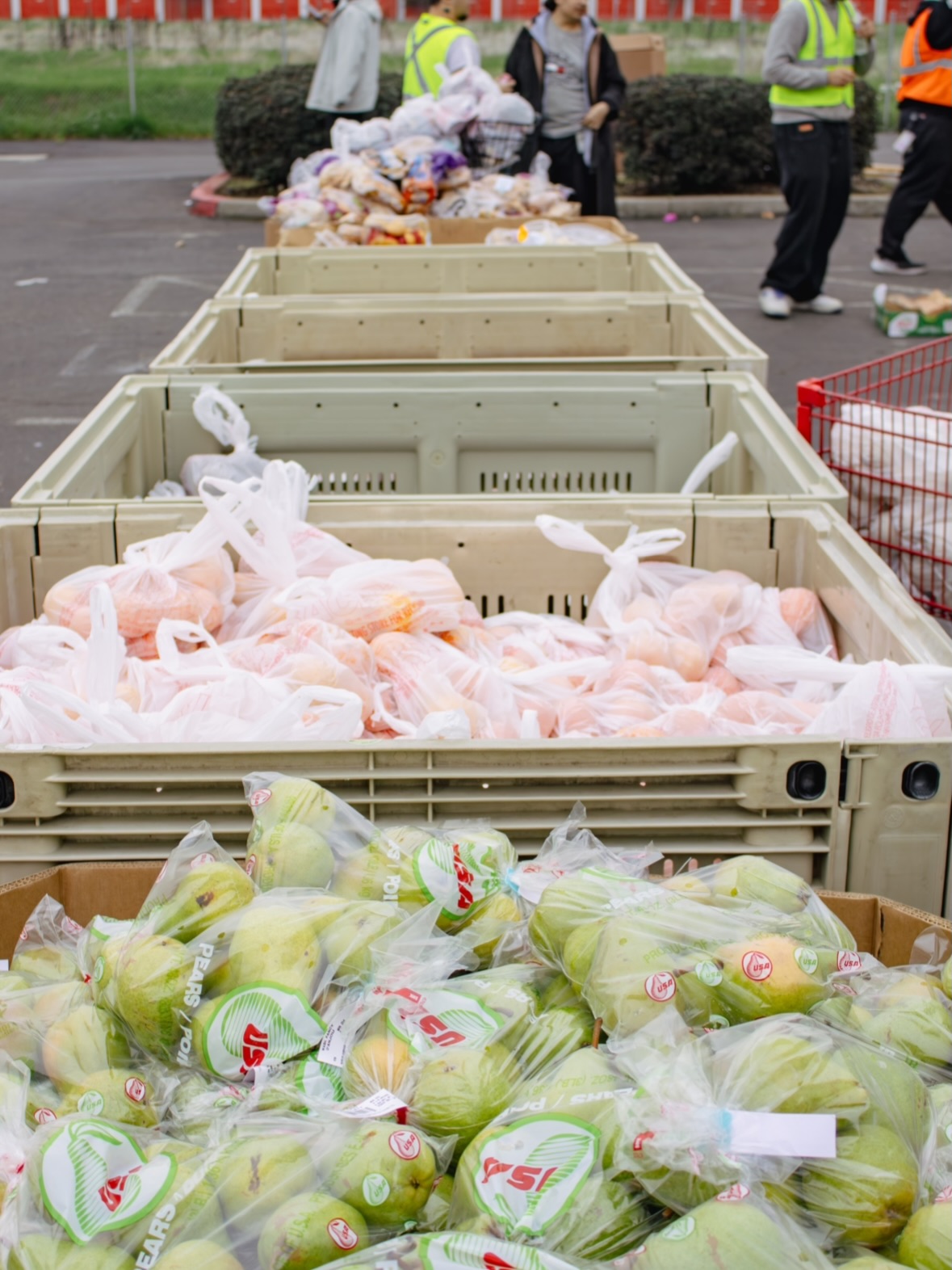 Meet us at our FREE Food Giveaway every Wednesday from 4:30-6:30pm. 🚘 Drive through only at 6524 44th Street STE. 208 Sacramento, CA 95823
For more info about our Daughters of Zion Enterpryz & how you can help please visit: www.dozenterpryz.org or email info@dozenterpryz.org
Touching the Heart of God, by Touching the Heart of people.” This is ‘why’ we do what we do. ❤️