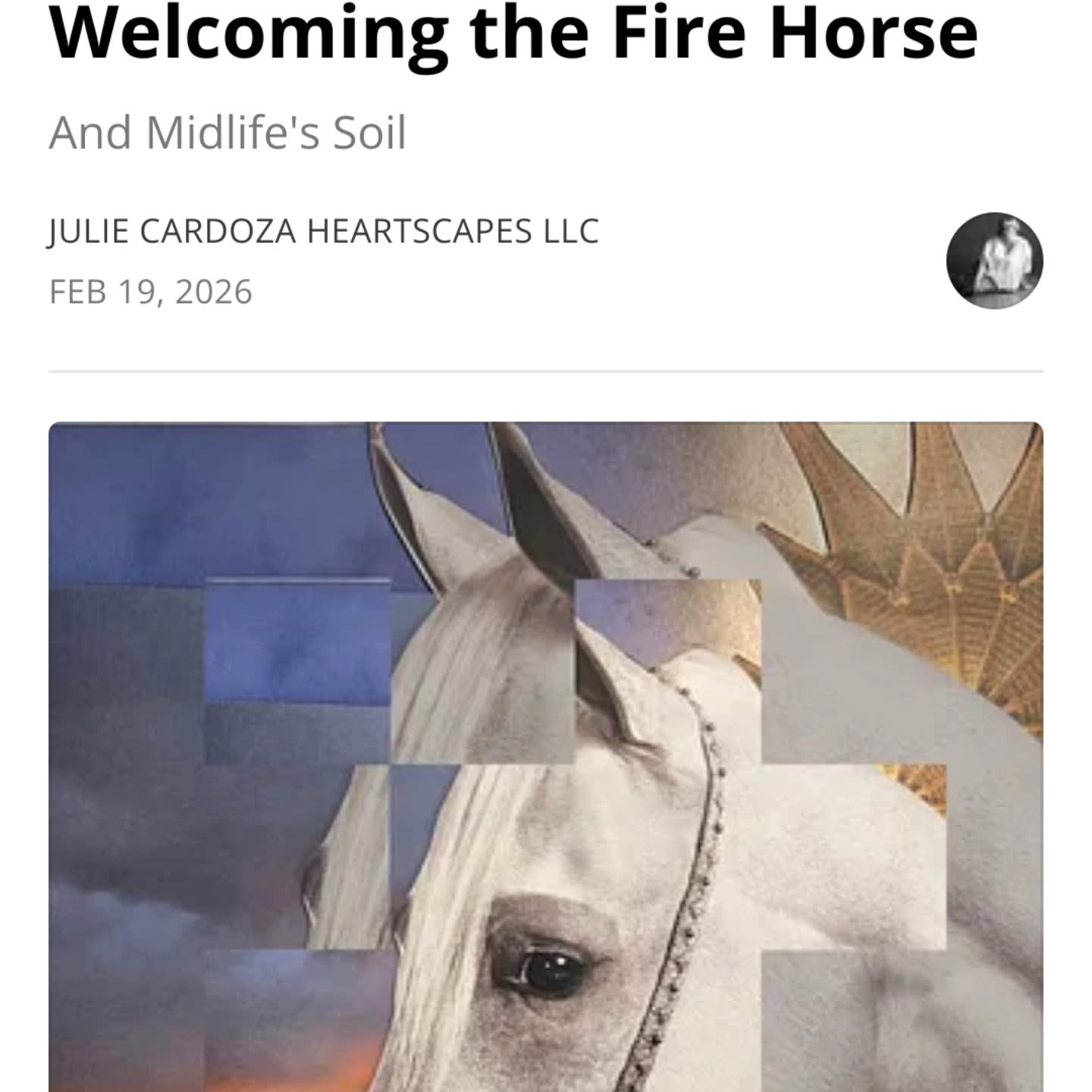 Now Available on Substack
https://open.substack.com/pub/ecotheraplay/p/welcoming-the-fire-horse?utm_source=share&utm_medium=android&r=4om2o7
#Ecotheraplay #Heartscapes #LunarNewYear #NatureMandalas #collage