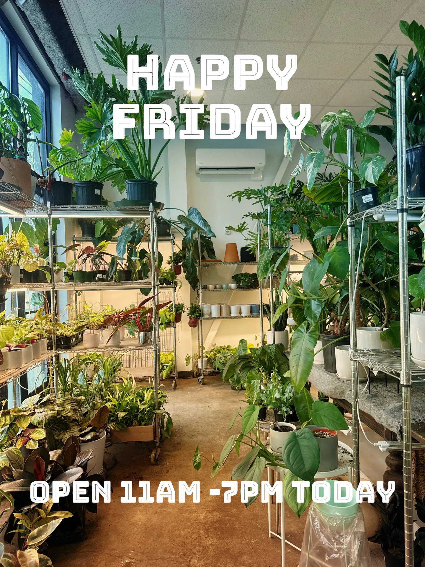 Happy Friday!!! We are open from 11am-7pm. Come stop on by!
#booshnursery #houseplant #seattle #plantshop #smallbusiness