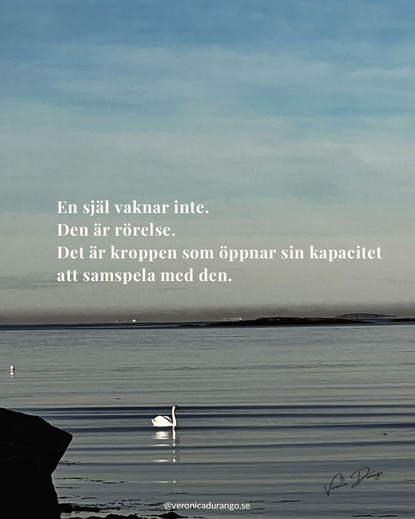 En själ vaknar aldrig. Den är ständigt i rörelse.
Det är inte själen som sover det är kroppen som ibland tappar kontakten med dess rytm.
När kroppen regleras, när nervsystemet mjuknar
,när tempot saktar ned då uppstår inte ett uppvaknande utan ett åter-samspel.
Mellan form och medvetande.
Mellan det som bär livet och det som lever det.
Tillåt kroppen att hinna ikapp.❤️
Kärlek ❤️
#kropp#själ#liv#hälsa