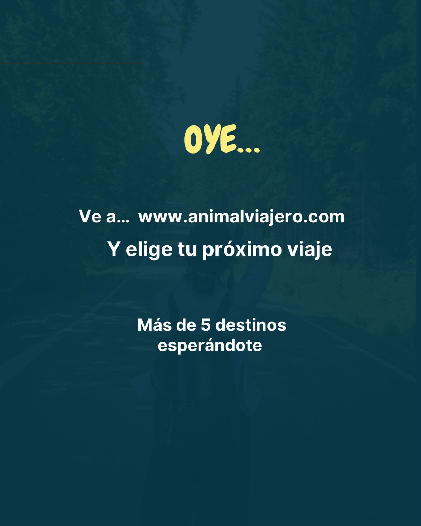 🌎✨ Oye… sí, tú.
Tu próximo viaje no está tan lejos como crees.
Está a un clic de distancia. ✈️
Entra a 👉 www.animalviajero.com
Explora, inspírate y elige el destino que va contigo.
🌍 Más de 5 destinos esperándote
📅 Viaja en las fechas que tú quieras
👣 Solo, en pareja o en grupo
#animalviajero #agenciadeviajesméxico #viajeros #viajaseguro