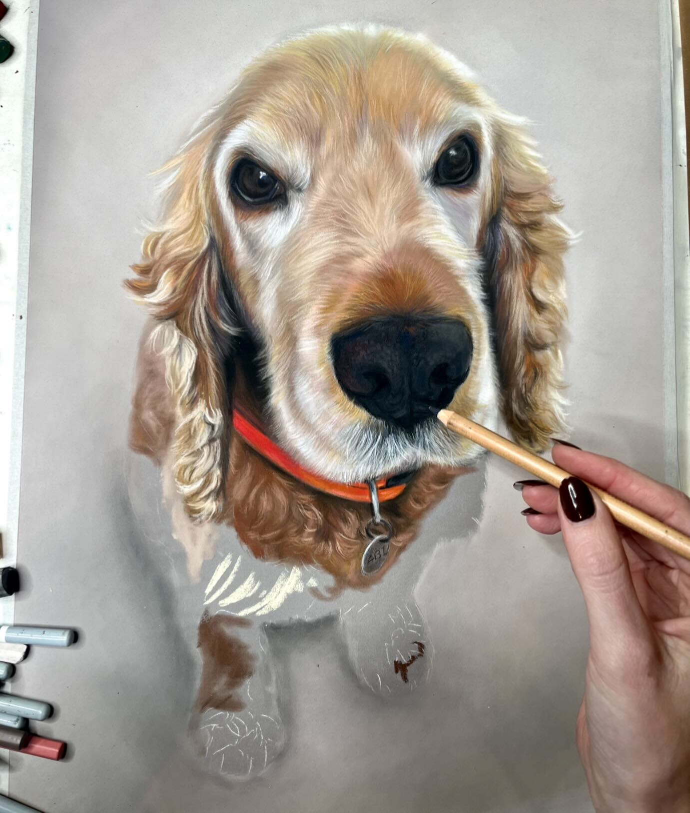 LOOK AT THIS FLUFFY NOSE đĽšâ¤ď¸
Abi coming together nicely â¨
I usually always just post the finished pieces so hereâs a little progress photo to spice things up.
#petportrait #petpainting #petportraitartist #petlovers