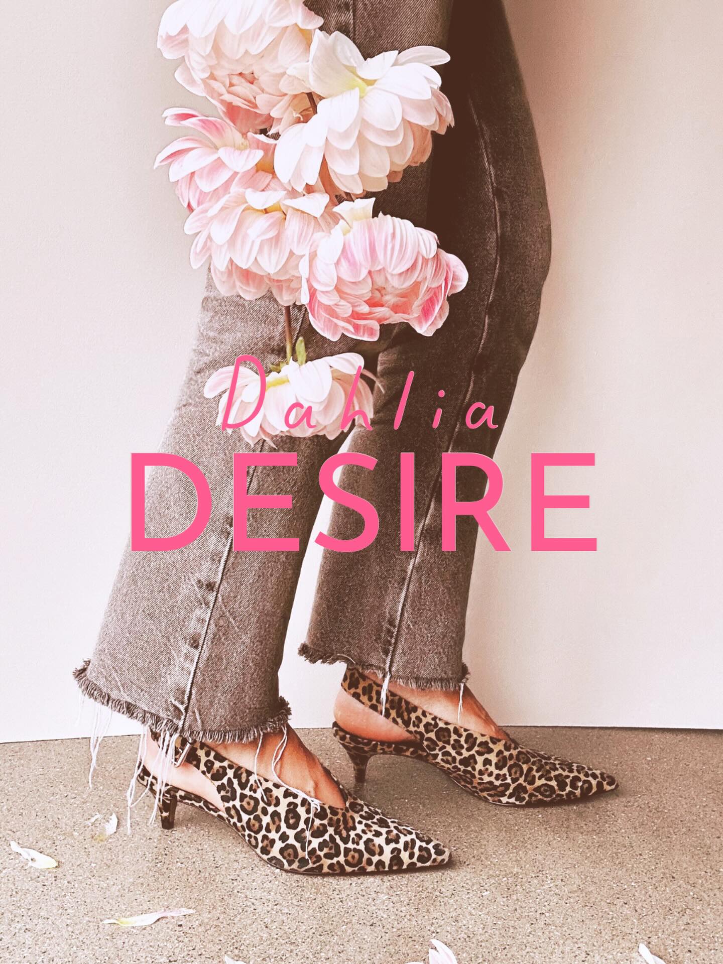 Nu suktar vi som aldrig förr efter sommarens dahlior! Kan den här vintern bara ta slut snart 😁🌸
Vi siktar på 2000 plantor inför Dahliaeventet och är i dagsläget lite mer än halvvägs där och nya sticklingar poppar hela tiden upp så det känns mycket lovande. Kanske blir det fler 💃
I och med att det är första gången vi förodlar i den här skalan har vi inget facit på hur många som är möjligt att få fram, det blir väldigt spännande att se hur många vi landar på i Maj 🙌
Inför 2027 är vårt motto: Go big or go home och siktar på att fyrdubbla årets siffra 😁
Vi har köpt in ca 100 nya unika sorter att provodla denna säsong. Däribland mycket nytt från RM, Sandia och KA’s bland annat. Överst på vår önskelista står Sandia Tulip men hon släpps inte förrän nästa år och kommer nog att vara fruktansvärt svår att få tag i! 😅
Vad suktar du efter?
#storiesandcreations #dahliadesire #unicorndahlia #dahlia #dahliaaddict