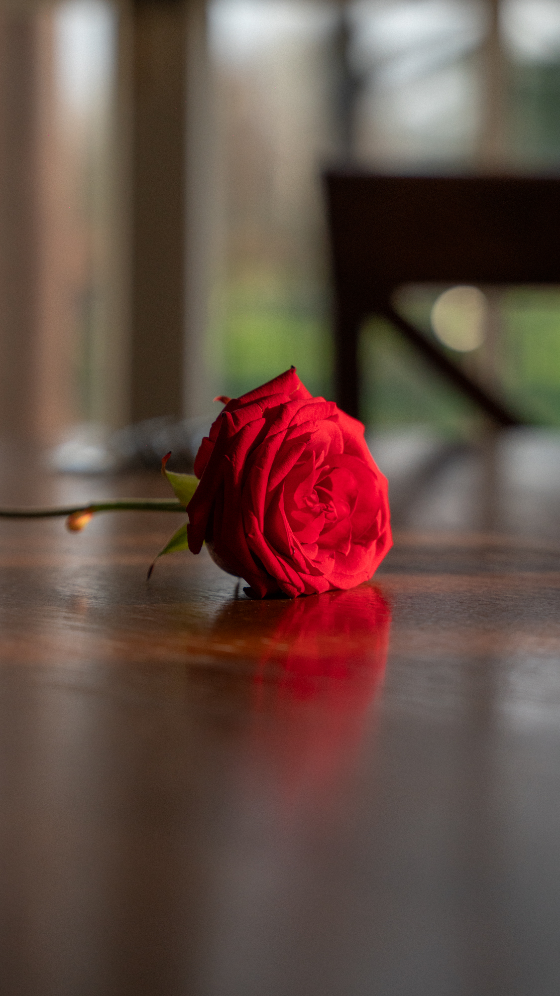 Love, something that is interpreted in so many different ways ☺️
What does love mean to you? 💖