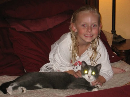 goodbye to my sweet kitty who has been through every step of my life. it has been an absolute pleasure growing up with you. you were with me at some of the best and worst moments of my life. you were always by my side growing up, following me around the house and sleeping with me every night. you used to meow at my bedside in the middle of the night so i would sit with you while you would eat. you were my best friend. i always felt so guilty for moving off to college without you. regardless, you were always still there for me when i came home. i’ll miss going home and have at you scream at me for chicken and treats. may you catch all the bunnies and eat all the rotisserie chickens wherever you are. i love you endlessly and i hope you are in a better place with your brother now. i love you ferb.