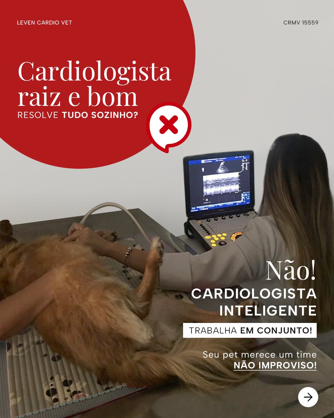 Existe um mito antigo na medicina veterinária:
o de que o “bom médico veterinário” resolve tudo sozinho.
Mas a verdade é outra.
Casos complexos exigem visão ampliada.
Exigem troca.
Exigem estratégia.
Um cardiologista responsável sabe reconhecer quando é hora de envolver o pneumologista, o nefrologista, o endocrinologista, o oncologista, o imaginologista e etc.
Porque medicina não é competição.
É cooperação.
E quando diferentes especialistas analisam o mesmo paciente, o diagnóstico fica mais preciso.
O plano terapêutico fica mais seguro.
E o prognóstico ganha mais consistência.
Seu pet não precisa de improviso, precisa de um time.
Por aqui acreditamos na força da atuação conjunta, onde cada detalhe importa.
Encaminhe esse post para aquele pai e mãe que valorizam a segurança e estratégia no tratamento do seu pet 🫀✨