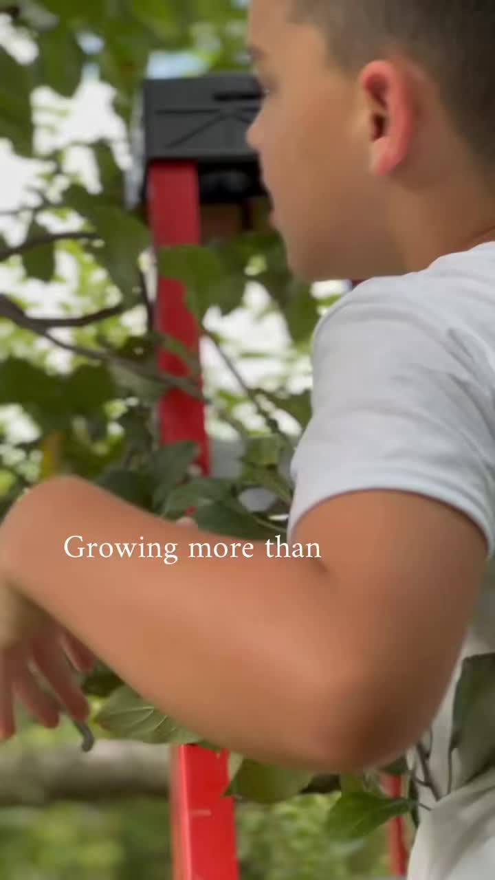There’s something deeply humbling about tending our family orchard of apples, pears, and cherries; and even more so watching the next generation walk its rows.
Seeing little hands harvest what they helped care for is a reminder that growing your own food isn’t just sustainable… it’s meaningful.
These trees offer lessons that last far longer than any season.
Visit www.springbluffnursery.com/shop to preorder your Fruit trees and shrubs.
#gardencenters #gardencenterlife #gardencenter #stcharlesillinois #genevaillinois #bataviaillinois #sugargroveil #oswegoil #stcharlesil #auroraillinois #genevail #oswegoillinois #bataviail #sugargroveillinois #aurorail #familyowned #familyownedbusiness #familyovereverything #appleorchard #appleorchards