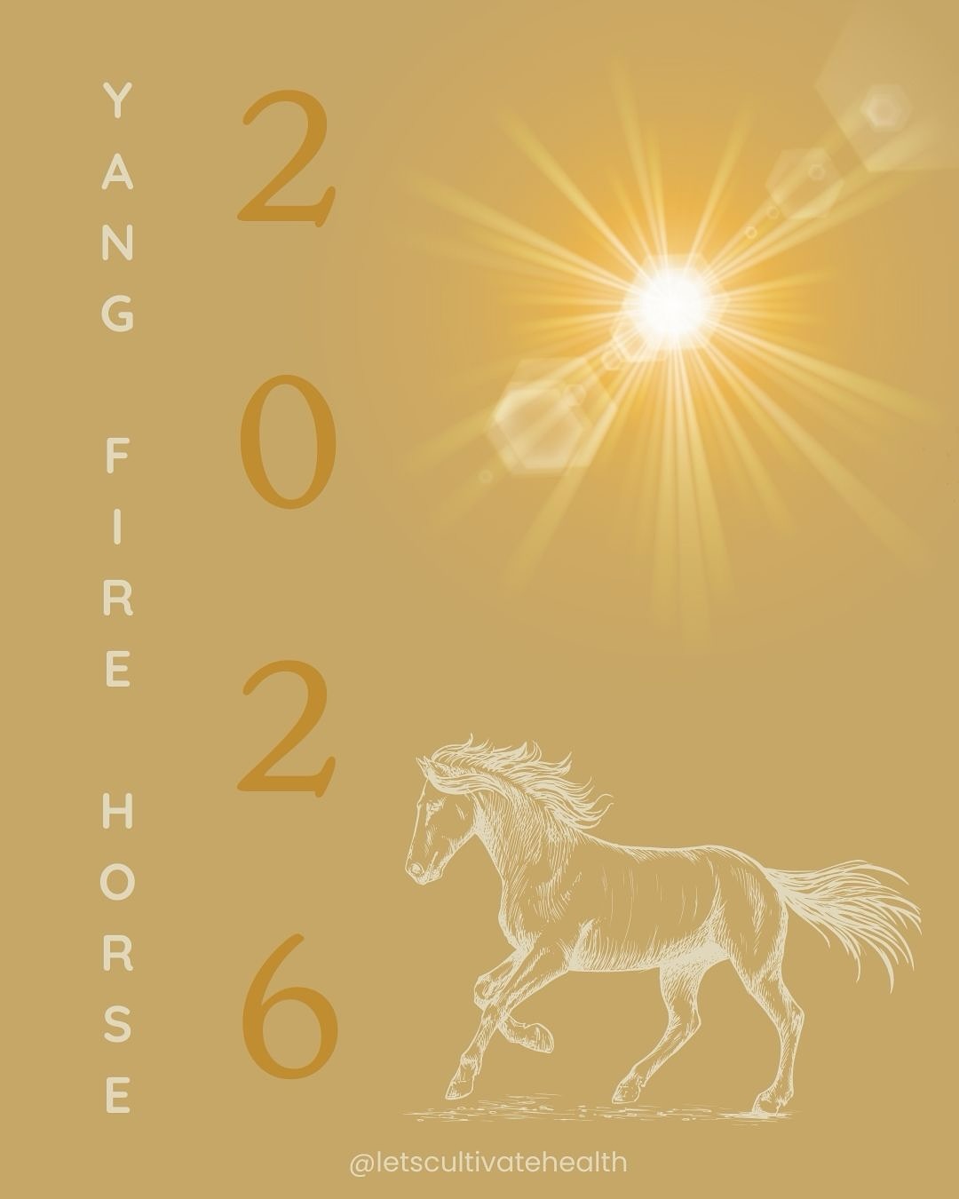 The Snake changed to Horse on Feb 4th & celebrations of the Chinese New Year occurred yesterday with the new moon. As a dear friend put it ‘Chinese astrology has never been so mainstream’ - it seems to be everywhere on the internet! I’m not mad about it though, just here adding my two cents with a little look at how these energies might manifest in your body.
It’s exciting new energy & vastly different from the Yin Wood Snake year we have just come out of.
If you are prone to any of the signs & symptoms listed in the slides, pay careful attention to the greater energetic influences around you & alter life as you need to, seeking balance.
Remember to ask for help if things become too much, there are so many wonderful practitioners across many modalities to support us on this journey called life.
I hope this year brings much joy, connection, passion & equally much rest, relaxation & peace.
#firehorse #chinesenewyear