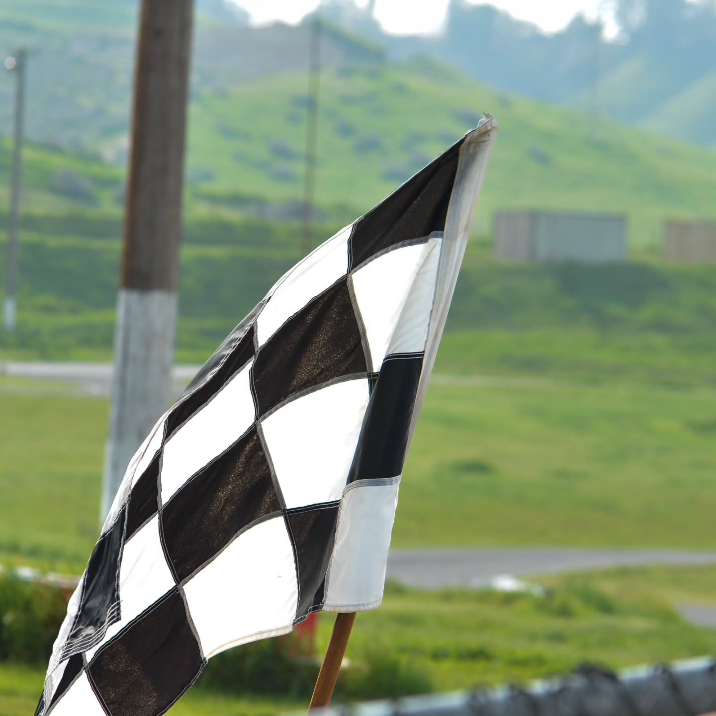 This time of year is so 🟢