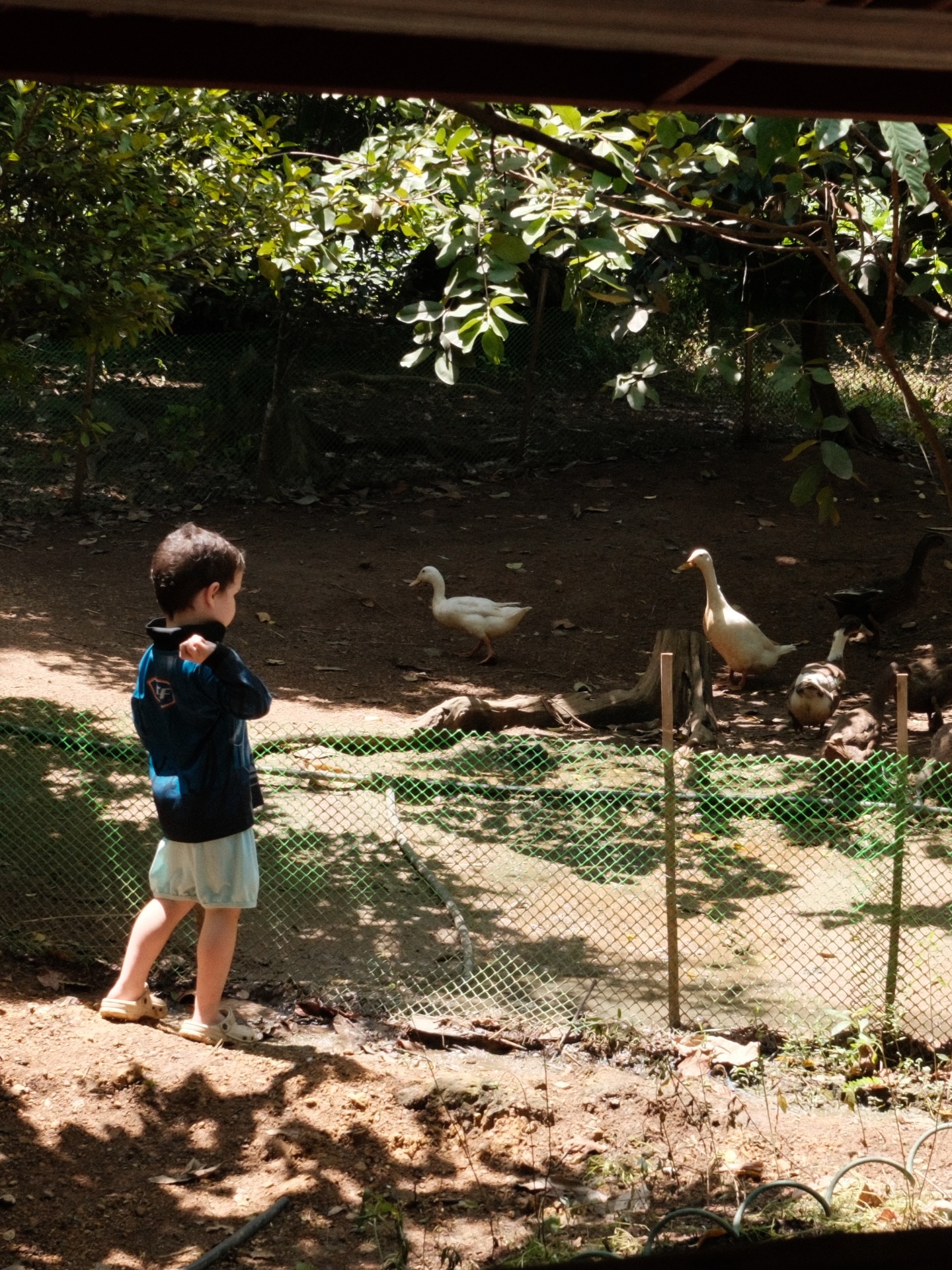 a few photos from last year’s adventures. can’t wait to be home. 🌾