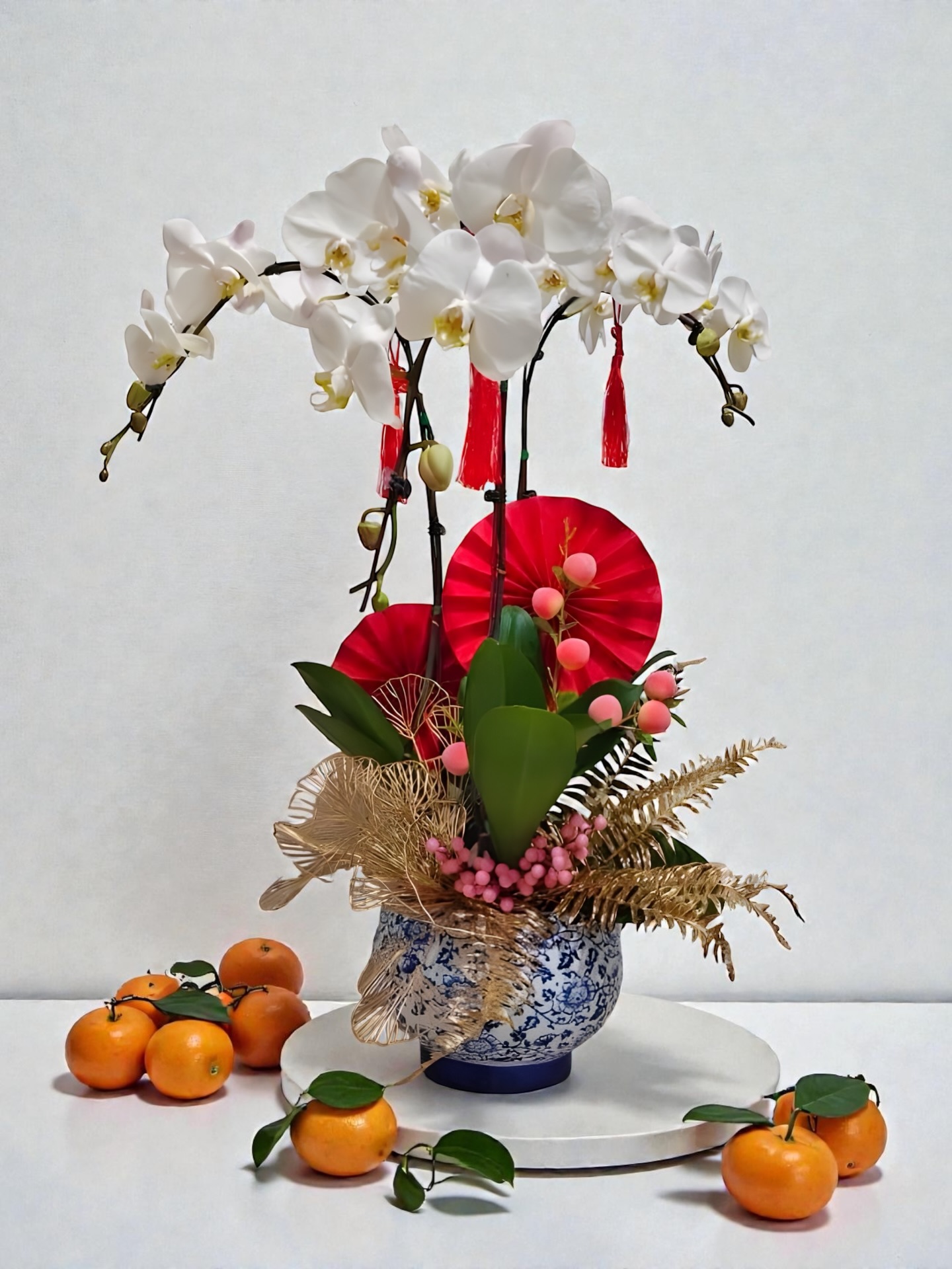 🏮 LUNAR NEW YEAR 2026: Year of the Horse 🏮
"Year of the Horse"
₱9,888
A trio of extra-large Phalaenopsis orchids, artfully arranged to embody the strength, vitality, and noble spirit of the Year of the Horse. With their cascading blooms and timeless elegance, this stunning display makes a powerful statement of prosperity, grace, and new beginnings.
Chinese / Lunar New Year is on February 17, 2026 (Tuesday)
Shop the collection online (link in bio)
We're accepting all major credit cards ⤵️
www.plantistamanila.com/lunarnewyear
#PlantistaManila #PlantistaMNL #PlantistaYearOfTheHorse #PlantistaCNY #PlantistaLNY