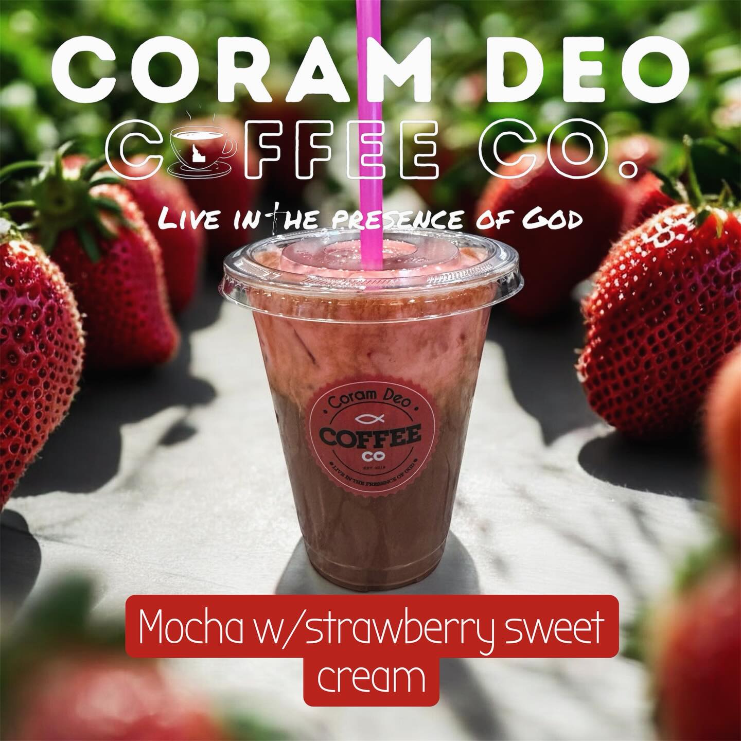 Our STRAWBERRY SWEET CREAM this month has been so popular! Whether itโs on an espresso, matcha or hot chocolate it takes your drink to the next level! ๐ #sweetcreamofthemonth #strawberry #coramdeocoffeeco #coramdeocoffeeconorth