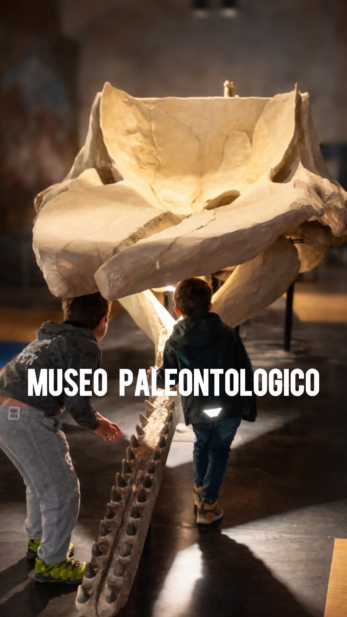 Se stai cercando un'esperienza educativa e divertente con i bambini, questo MUSEO PALEONTOLOGICO è una tappa perfetta per una gita culturale in famiglia 🦴✨
{Prima mi raccomando seguimi qui 👉 @valigiainfarinata per non perderti i miei consigli di viaggio}
Io l’ho visitato in occasione del Darwin Day, una giornata speciale dedicata all’evoluzione e alla scoperta scientifica, resa ancora più coinvolgente da attività e approfondimenti pensati anche per i più piccoli.
All’interno del museo si possono ammirare fossili marini, conchiglie giganti, scheletri di mammiferi preistorici e reperti unici che raccontano quando la Pianura Padana era sommerso dal mare 🌊 Un vero viaggio nella preistoria, perfetto per spiegare ai bambini la storia della Terra in modo semplice e affascinante.
Durante l’anno il museo organizza anche laboratori didattici per bambini, attività educative e percorsi interattivi che rendono la visita ancora più interessante per le famiglie.
Siamo ad 📍 ASTI, in Piemonte, al @parco_paleontologicoat Museo Paleontologo di Asti.
È una meta ideale per chi cerca musei per bambini in Piemonte o idee per un weekend culturale ad Asti.
Un museo curato, educativo e sorprendente, perfetto per unire divertimento e apprendimento 💙
Lasciami un ♥️ per sostenermi e salva questo reel per ritrovarlo.
Alessia
------
Invited. @visitlmr
museo paleontologico Asti, cosa vedere ad Asti con bambini, musei per famiglie in Piemonte, laboratori didattici bambini Asti, Darwin Day Asti, attività educative Piemonte, fossili Piemonte, gite culturali in famiglia