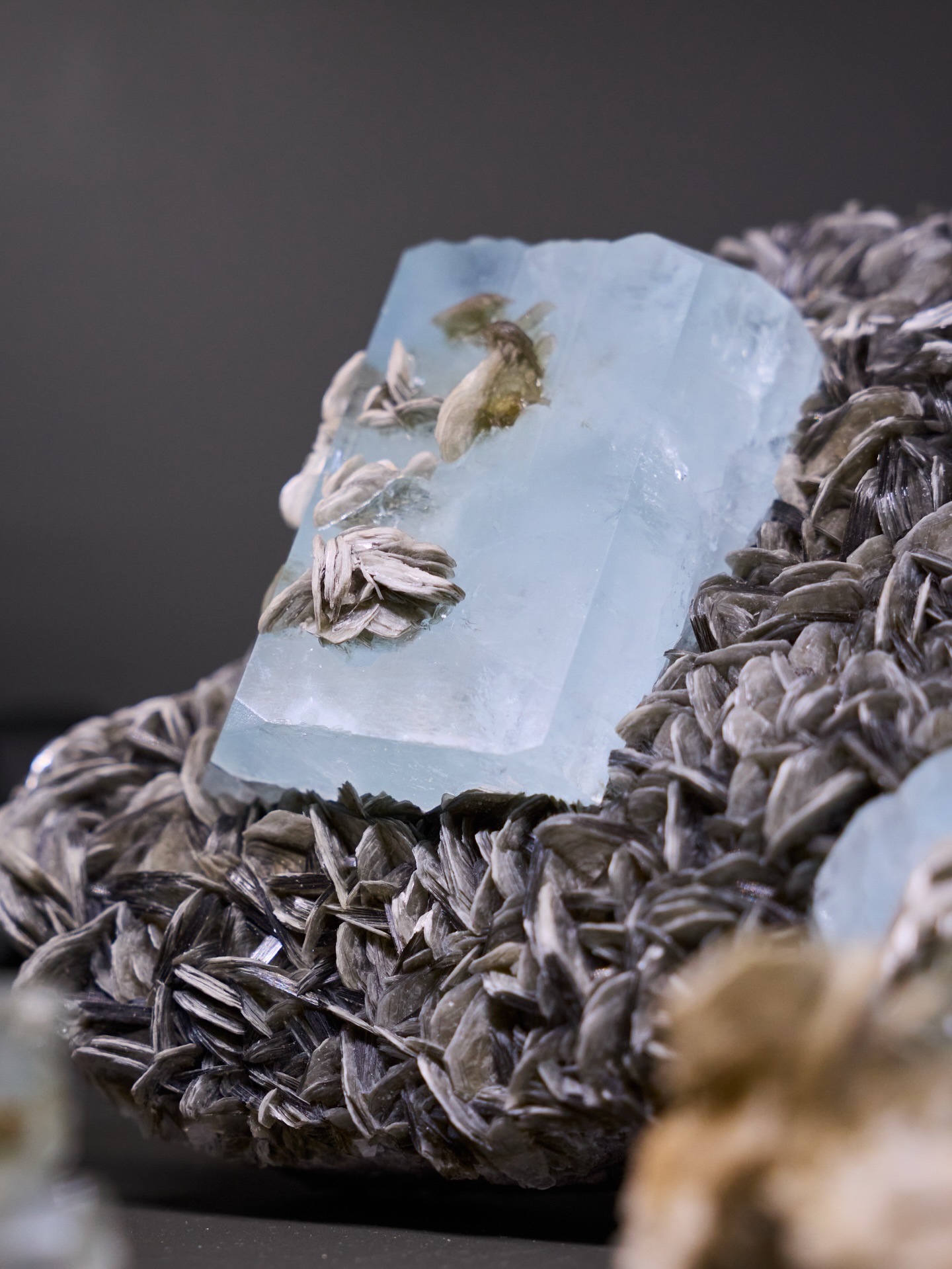 MINERAL MONDAY ✦ AQUAMARINE
This week, we turn to Aquamarine - the blue variety of beryl, coloured by trace amounts of iron within its crystal structure.
Its clear, ocean-like tones form in granitic pegmatites, where minerals crystallise slowly over millions of years.
In our in-house mineral museum, you can currently discover two remarkable natural combinations:
✦ Aquamarine with Muscovite
📍Hunza Valley, Nagar, Pakistan
Here, aquamarine crystals rest on shimmering muscovite, a combination typical of Himalayan pegmatites known for their exceptional crystal growth.
✦ Aquamarine with Schorl (black tourmaline) on Feldspar
📍Erongo Mountains, Namibia
A striking contrast between pale blue aquamarine and deep black tourmaline - both formed within pegmatitic veins under high-temperature geological conditions.
These associations reflect the geological environments in which aquamarine develops - shaped by chemistry, pressure and time.
At the Mineralienhotel, selected specimens can be explored up close in our museum - a collection grown over decades and shared one mineral at a time.
For those who wish to bring a piece of this world into their own home, selected mineral specimens are available in our online shop.
👉 link in bio: https://shop.mineralienhotel.com.
#mineralmonday #mineralmoments #mineralienhotel #mineralhotel #boutiquehotel #minerals #mineralsforsale #mineralspecimen #mineralmuseum #aquamarine #aquamarinecrystal #muscovite #schorl #feldspar
