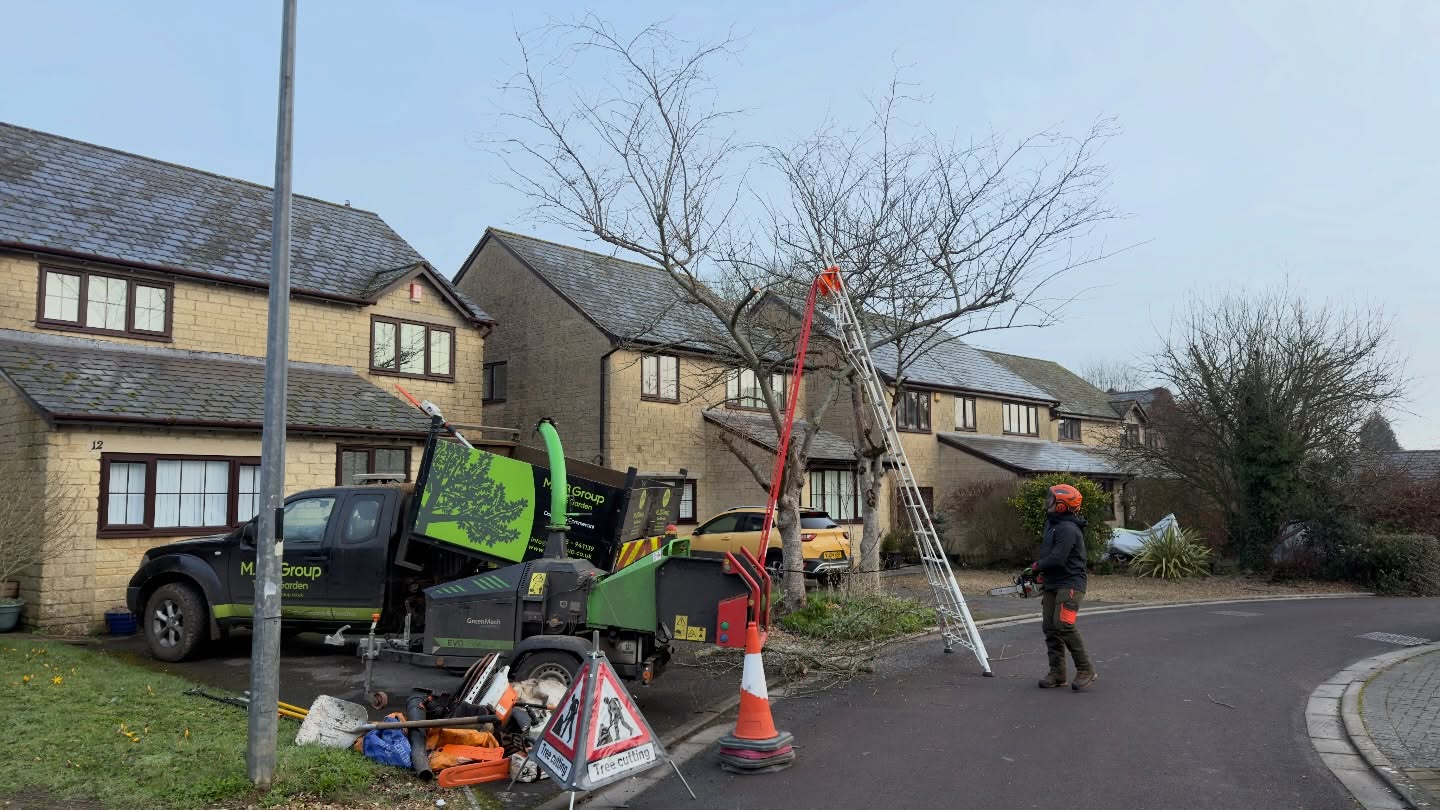 Is that the sun?! ☀️ Feels like we haven’t seen it in forever… and for it to show up on a Friday is a proper bonus 🙌
No slowing down though — today we’ve been carrying out a heavy reduction on a Cherry and a Whitebeam. The customer wanted a hard hit, and we delivered 💪 Clean, controlled work and everything left tidy as always 👍
Big thanks to @mhtreeservices for the graft today — top effort 👊
And @henchmanltd giving our a climber a break 😂🙌
If you’re looking for a quote, you can find all our information at www.mjbgroup.co.uk or get in touch directly:
📧 info@mjbgroup.co.uk
📞 01225 941139
#TreeSurgery #ArboristLife #TreeReduction #CherryTree #Whitebeam FridayFeeling Professional OutdoorWork TeamWork MJBGroup 🌳