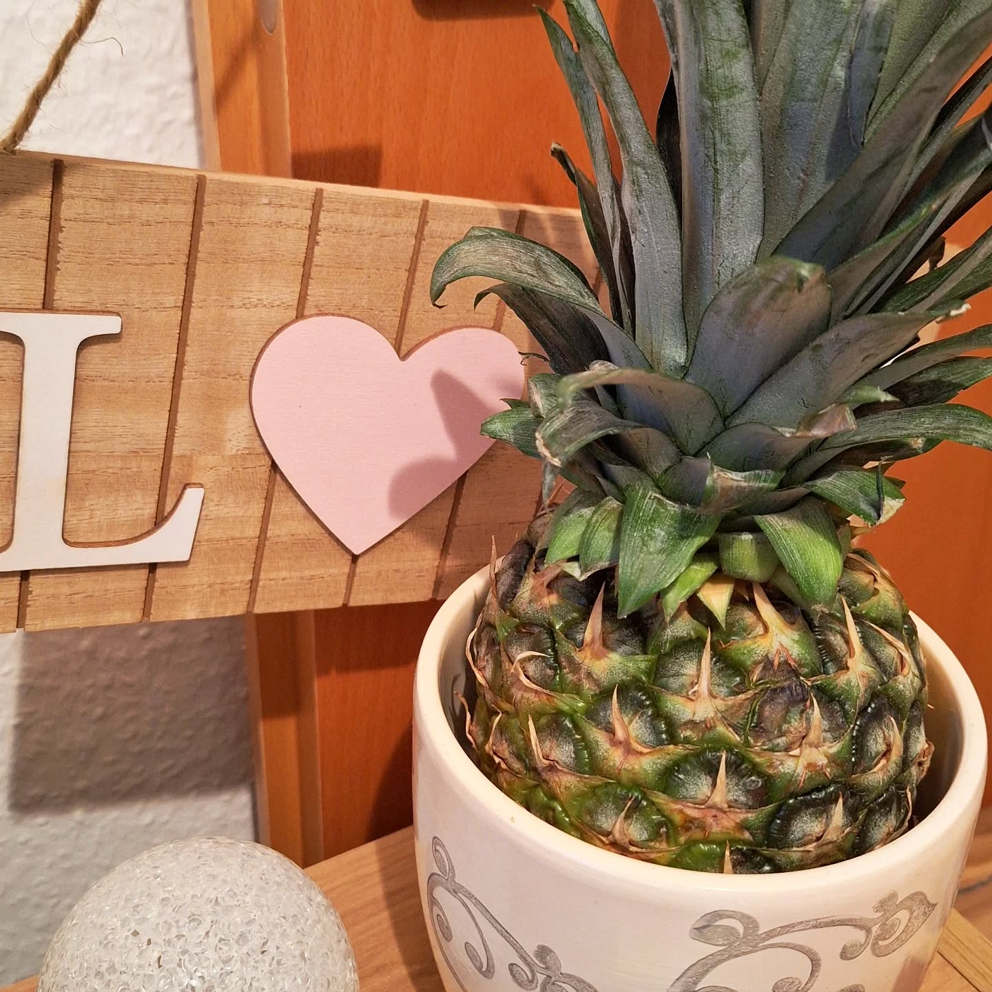Wie wär's mal mit Ananas statt Blumen 😄
Happy Valentine's Day 😘🫶
Egal ob heute oder wann anders, jeder Tag sollte voller Liebe sein 😊
#hashimoto #love #ganzheitlichgesund #freshfood #vitamine #selfloveenergy #fyp