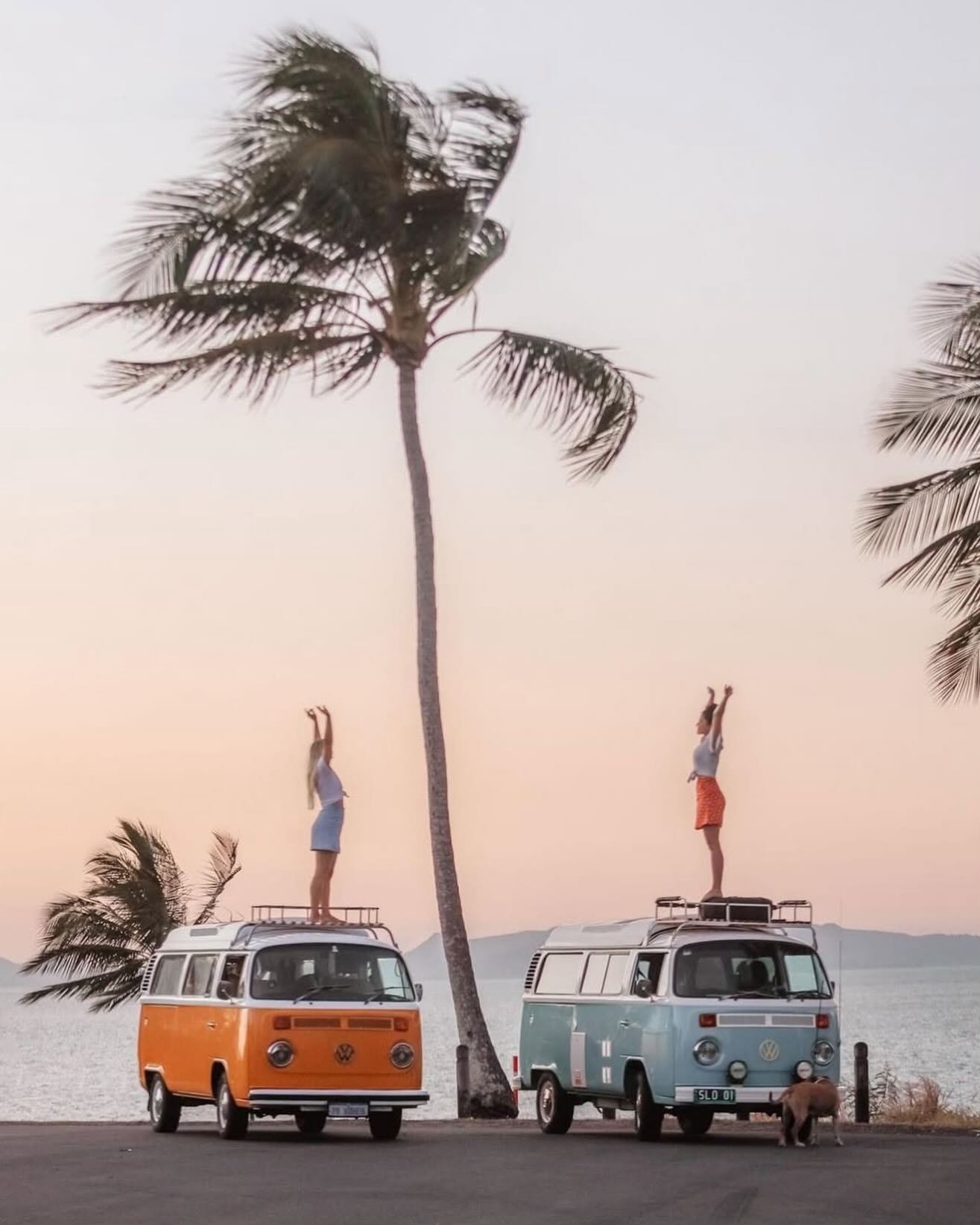 Go where you feel most alive 🌴
@surfnvibe @75vibes_