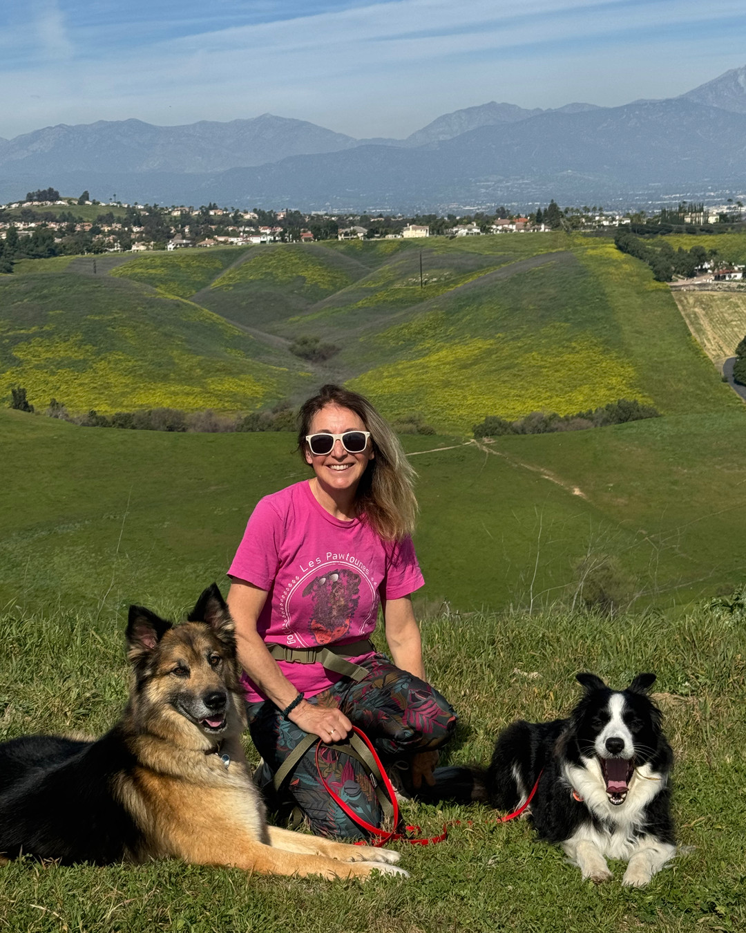 Pack Walk Playa Vista this Friday 2/20 @ 6 PM
This Friday: We’re heading to Playa Vista for our Urban Pack Walk! It’s one of my favorite spots, perfectly manicured for training, yet full of wonderful spaces for the dogs to sniff and explore. It’s the ultimate way to socialize: practicing focus on the streets and enjoying the environment together.