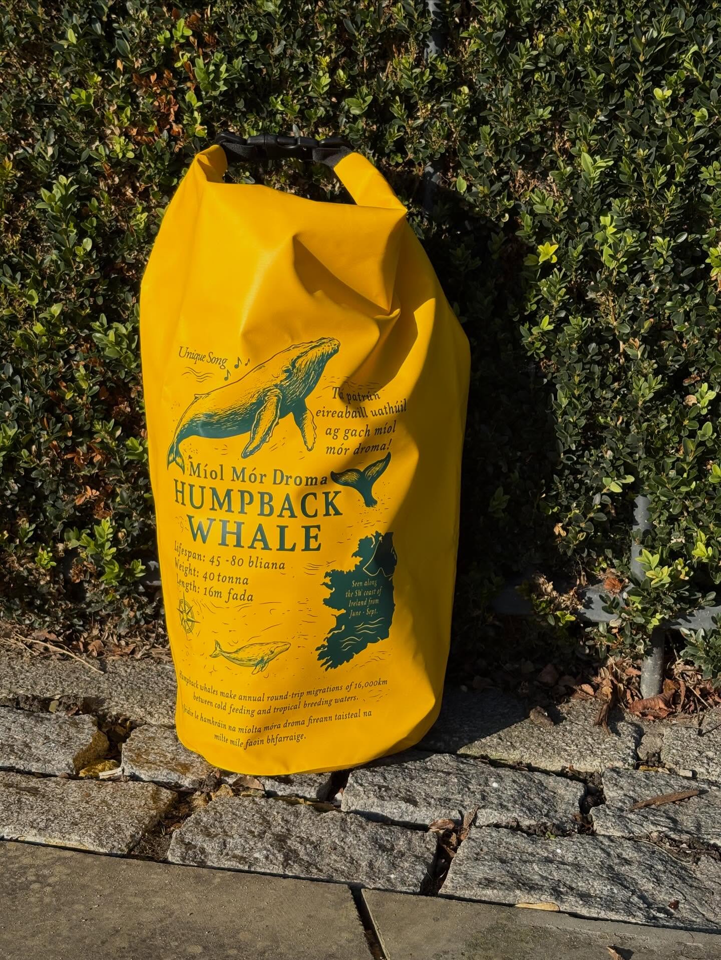 Picnics, hikes, swims, road trips… the possibilities are endless 🏔️
Get yours now at saltrobe.ie 🐳