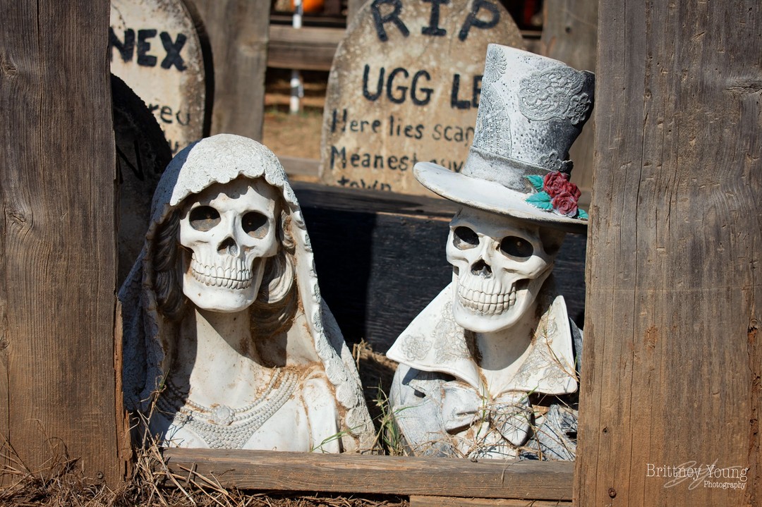 I was told that I need to get a photography page...so, here it is. Starting it off on Halloween with some fun skeleton friends. Let’s be real, this feed will probably be as disorganized as my life, but I intend to share more of my "work" on this account.
Back in college, I had "Brittney Young Photography" and that was a super fun experience doing art shows and getting opportunities to travel. Alas, entering the workforce changed things a bit. I took time off from photography to start my career as a graphic designer (for the Dallas Cowboys, say whaaaat??). I won't bore you with all the details but you can read more about them on my website if you're interested in learning more. (Link in bio)
I rebranded a few times between then and now, but finally came to the name "Brittney Young Creative" because, that's really what I am..creative. I do a bit more than photography and want to be able to share all the things I have going on.
Artist, photographer, graphic designer & small business owner.