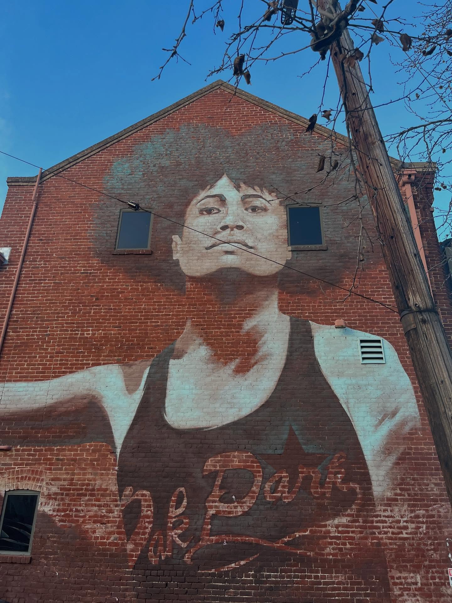 In the heart of Oak Park, stories don’t just live on shelves. They live in the neighborhood itself.
Underground Books stands as a cultural landmark, a gathering place, and a living archive of Black voices, history, and imagination.
Oak Park is one of Sacramento’s oldest neighborhoods, shaped by resilience, creativity, and community. Underground Books carries that legacy forward, amplifying stories that deserve to be read, remembered, and celebrated.
This Black History Month, I’m grateful for spaces like this, where the past is honored, the present is empowered, and future generations can see themselves reflected on every page.
📚🖤✨
#BlackHistoryMonth
#BlackHistoryIsAmericanHistory
#UndergroundBooks
#ChildrensBooks
#KidLitCommunity
#RepresentationMatters
#IndependentBookstore
#oakparksacramento