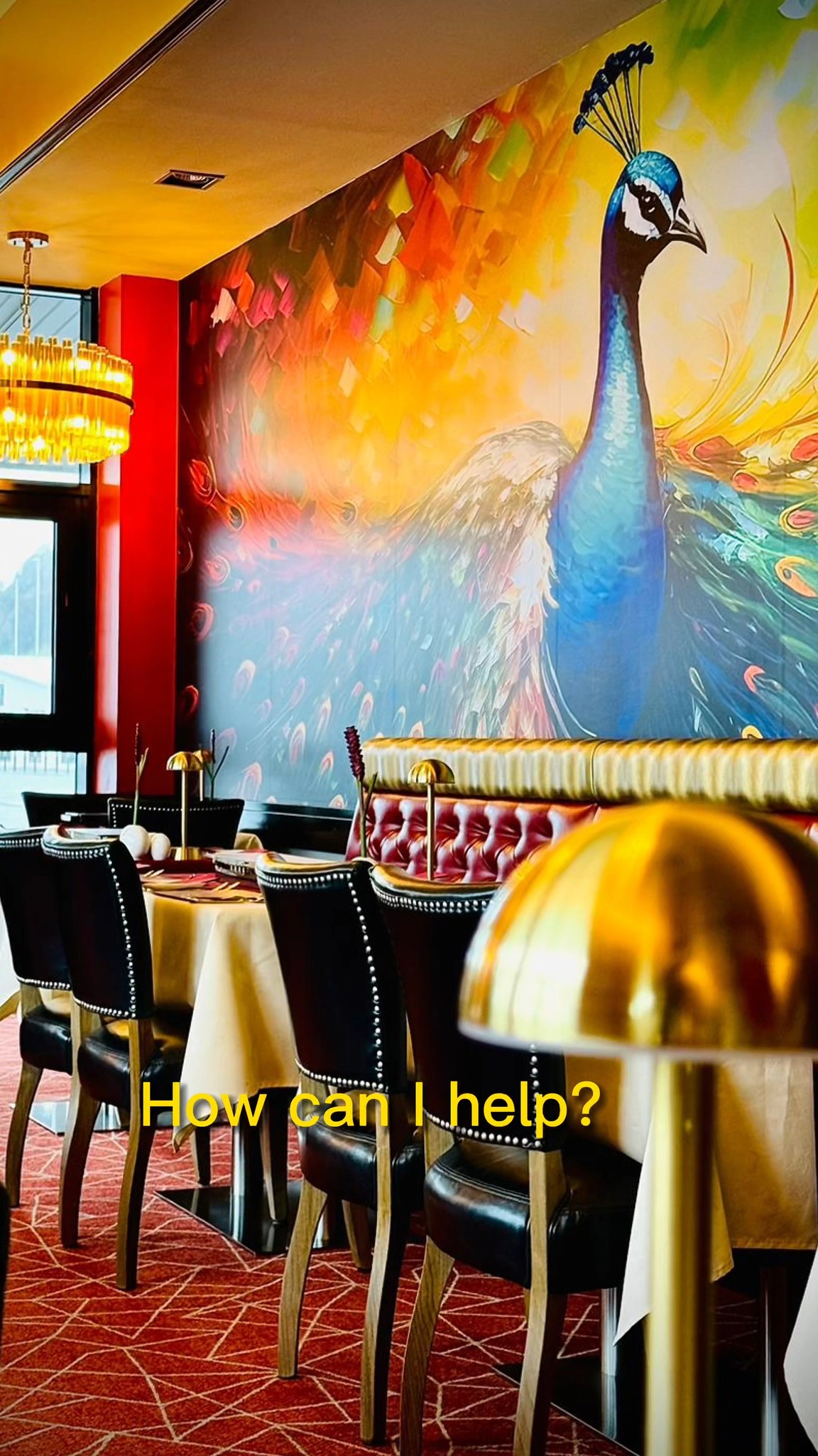 It's cold and windy, Let Mayur handle that for you with delicious curries and drinks.
Mayur's way - Feast like a Royal. 🔥
🌟For Reservation, please call us now 🌟
CARRICKFERGUS: 028 9335 1864/1865
LARNE: 028 2827 0000/000
or send us a message via
Facebook / Instagram (@mayur_indian_ni)
#Mayur #Larne #carrickfergus #IndianinLarne #IndianInCarrickfergus #indianMenu #indiancuisine #indianfood #curriesofindia #foodie #desimasala #cobra #karahi #drinks #winelover #foodtasting #thankyouforyoursupport #grateful #curry #larne #carrickfergus #celebration #party #fypreels #fyp #indianincarrickfergus #northernirelandbusiness #foodindustry #Tandoori #Biryani #Tandoori #Paneer, #ChickenCurry #northernireland