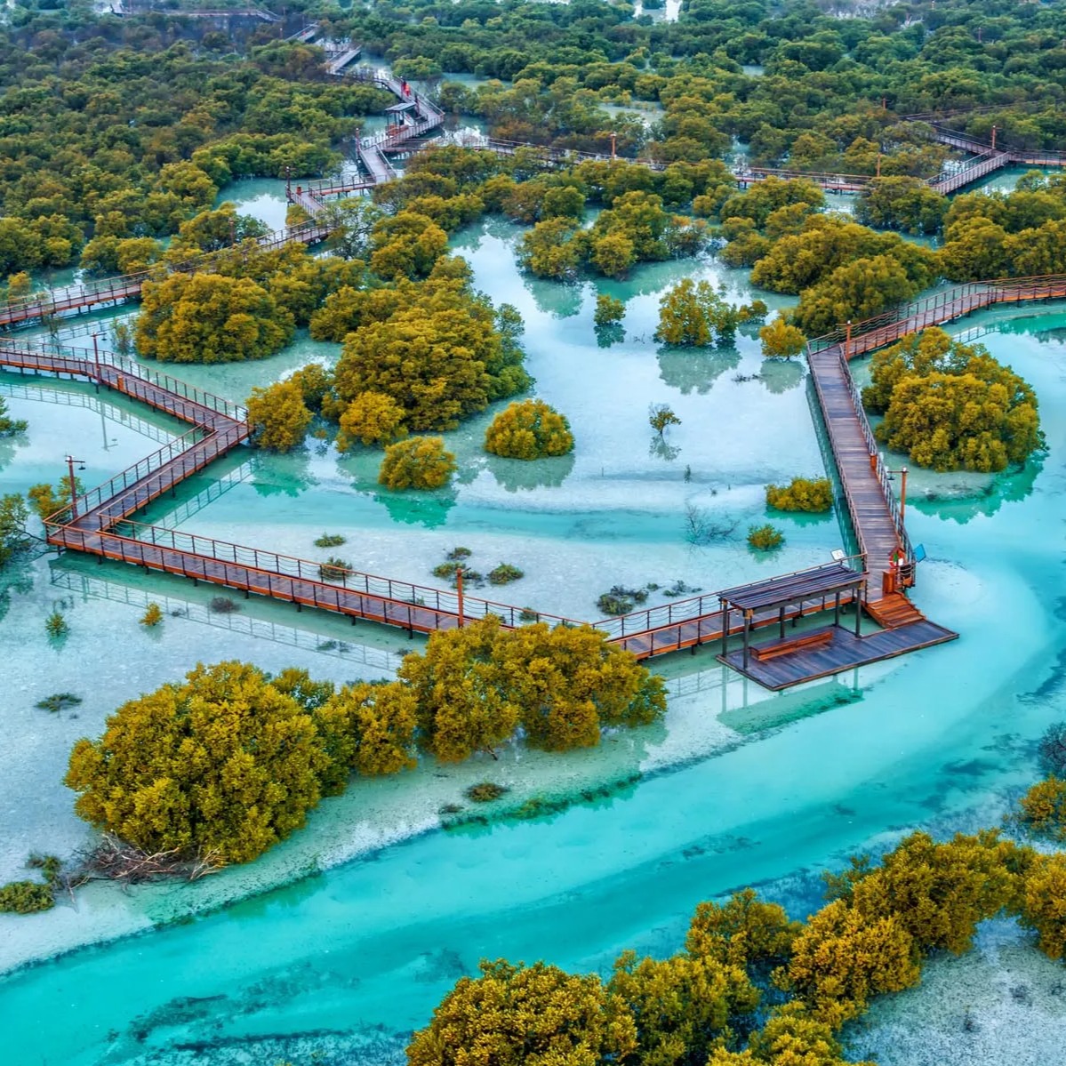 Just minutes from Le Méridien Abu Dhabi, Mangrove National Park is the perfect nature escape—calm waters, lush greenery, and pure serenity.
Book now your stay and discover Abu Dhabi
#inabudhabi #thingstodoinabudhabi #destinationplaces #mangrove #kayak