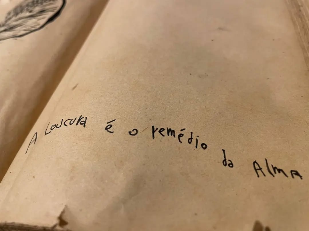 A loucura e suas nuances.
Qual verdadeiro remédio?
O que nossa alma transborda?
O que é a loucura afinal?
Eu acho um absurdo de normal
▫️
▫️