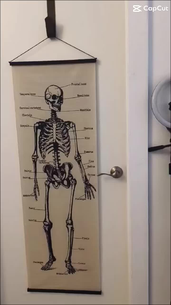 I have been working so hard to create a truly magical and healing space for you all at Holistic Rose Wellness! 💖 Here is a little sneak peek at the private room! #SelfCare #massagetherapy #holisticwellness #atascocitatx #goodvibes