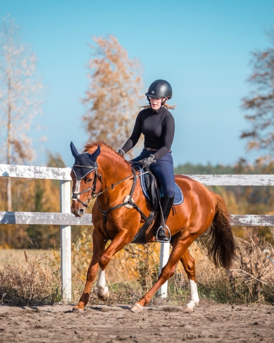 Karrin leasing-soppari on päättynyt ja Karri siirtyy meidän omistukseen ❤️
Tässä vaiheessa iso kiitos Erikalle hyvin sujuneesta yhteistyöstä 🙏❤️ @karriponi
Karrilla olisi muuten heti vapaana 2 päivän kisapaketti 😍
Karri on laadukas ja hieno poni kaikkiin lajeihin. Menisi myös pienelle aikuiselle. Karri on kisannut 80-100 tasolla ja koulupuolellakin taipuu HeA:n asiat. Ei ihan superhelppo, mutta perusratsastuskoulutaustalla pärjää hyvin.
Hiihtolomalla pääsisi heti kokeilemaan 😍
Jos todellakin tarvitsisit oman ponin, niin laita viestiä meidän opettaja Noralle ☺️
📞044-4946770
#omahevonen
#omahevonenespoonkartano
#karri